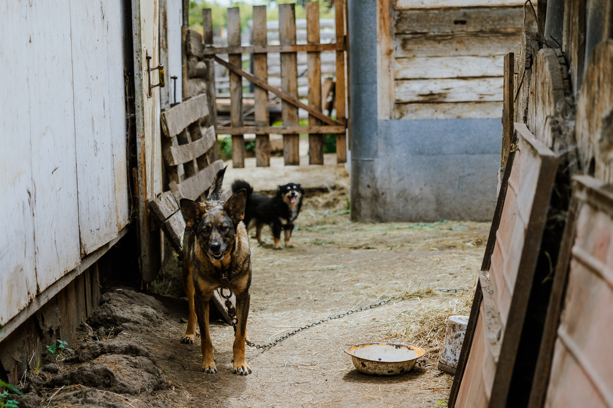Ferma. Профессиональный фотограф Нурмиева Вероника
