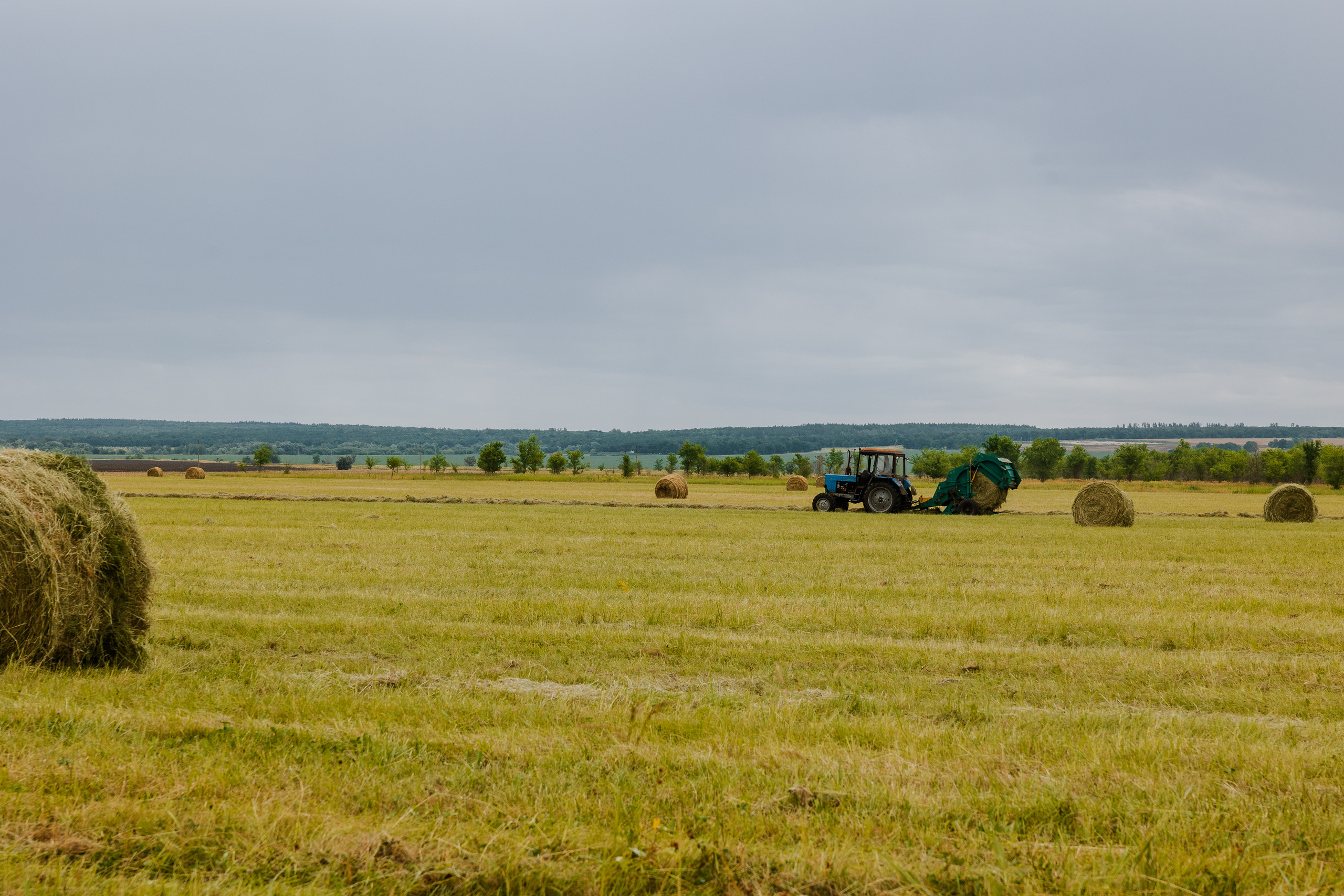 Ferma. Профессиональный фотограф Нурмиева Вероника