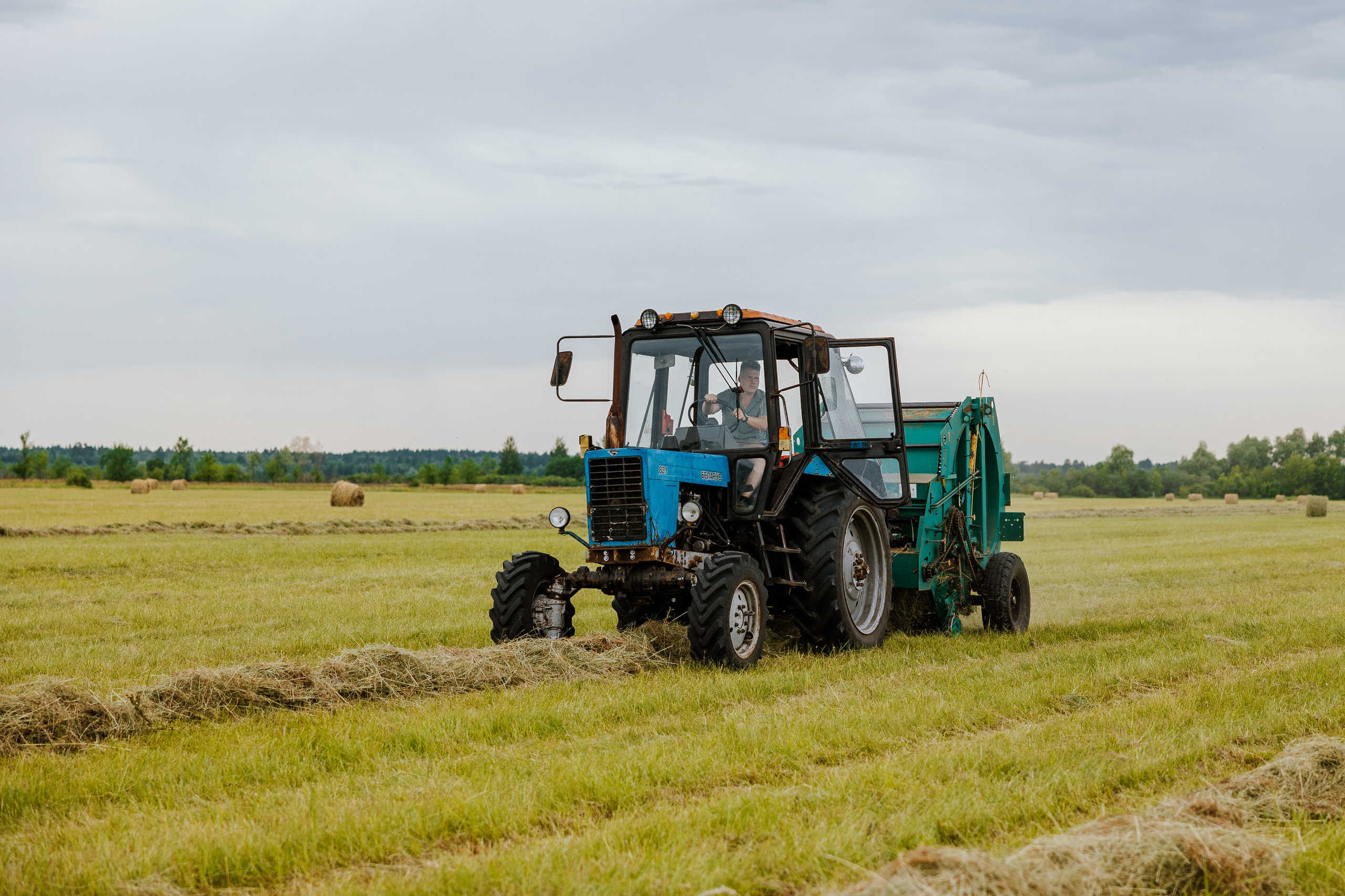 Ferma. Профессиональный фотограф Нурмиева Вероника