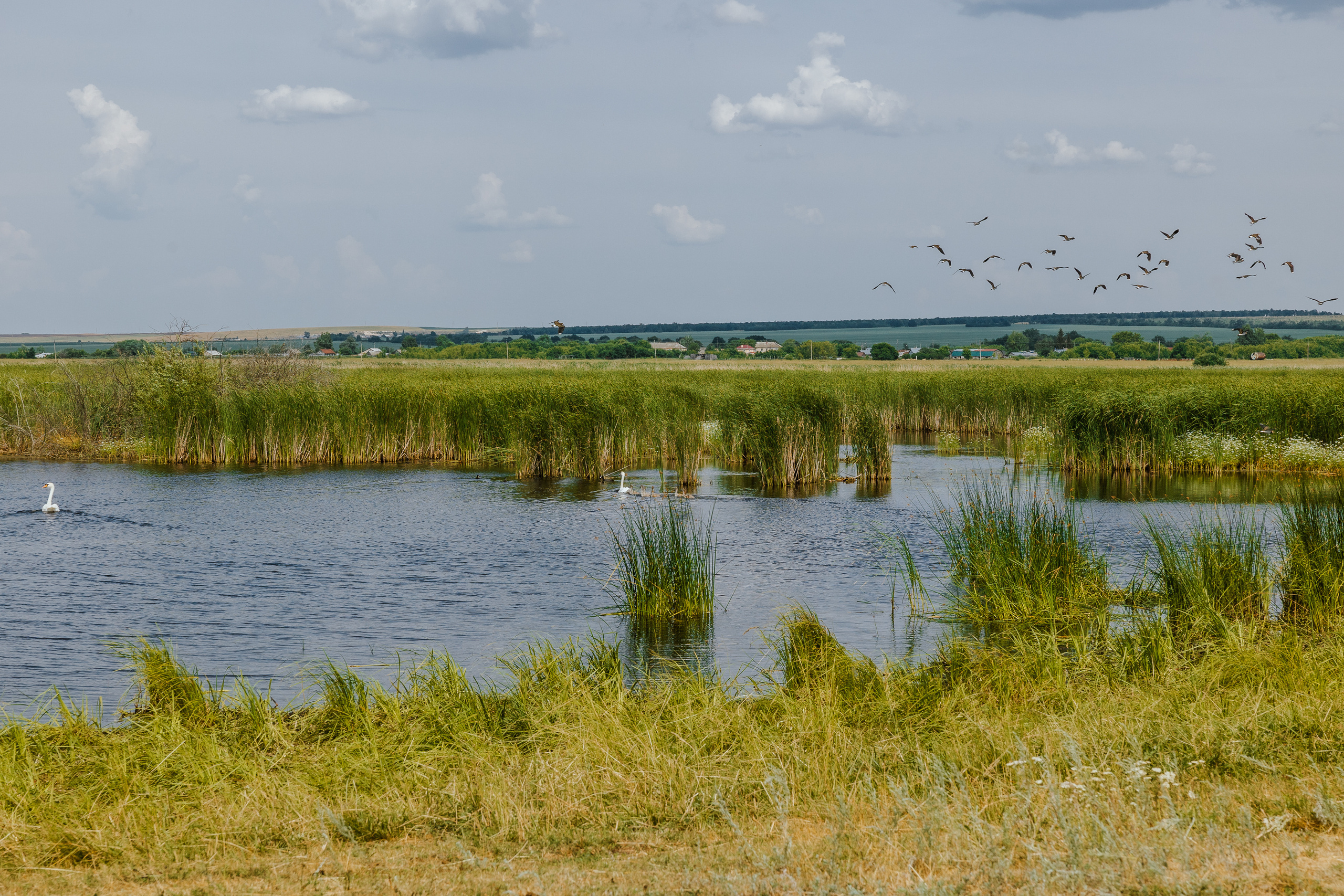 Ferma. Профессиональный фотограф Нурмиева Вероника