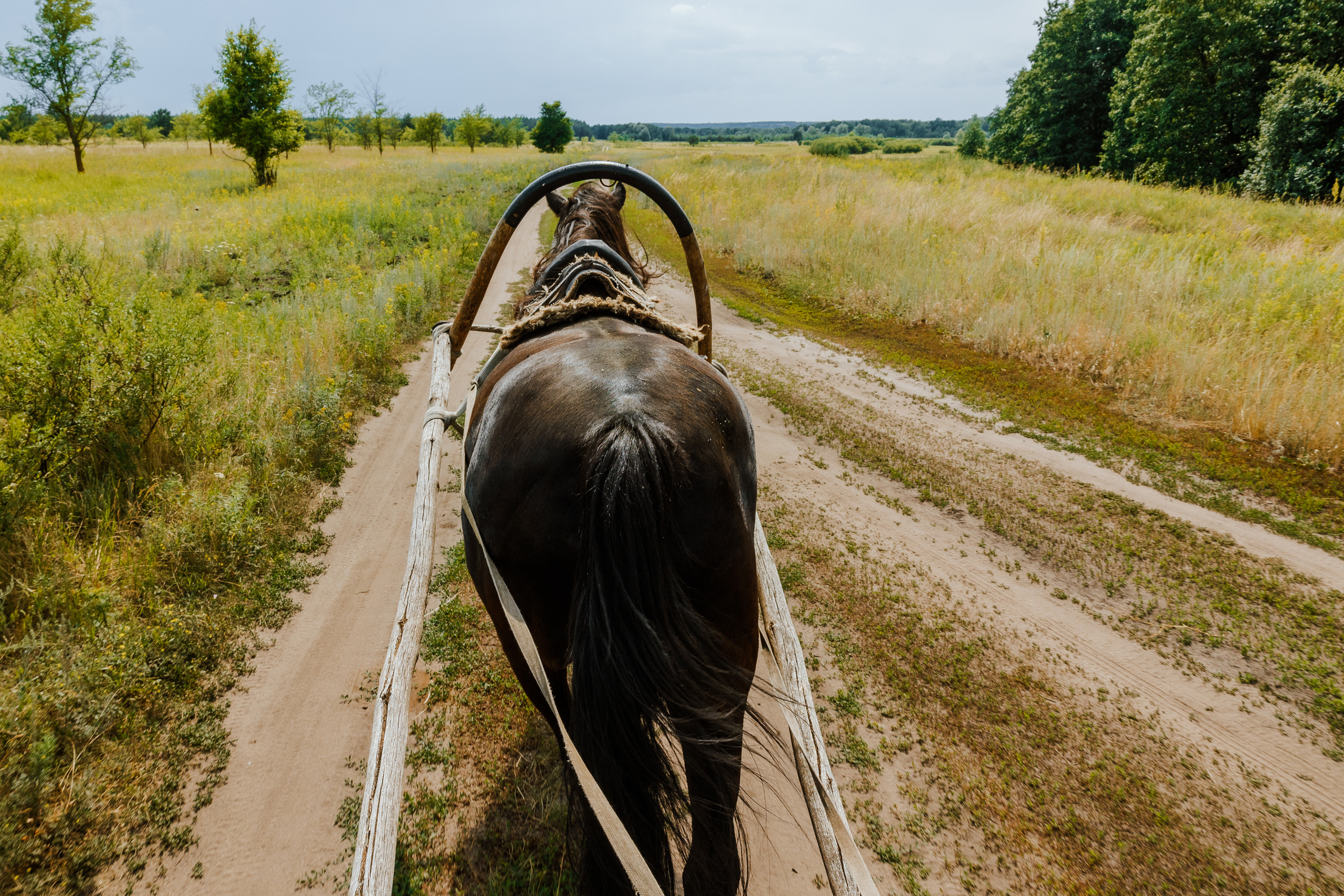 Ferma. Профессиональный фотограф Нурмиева Вероника