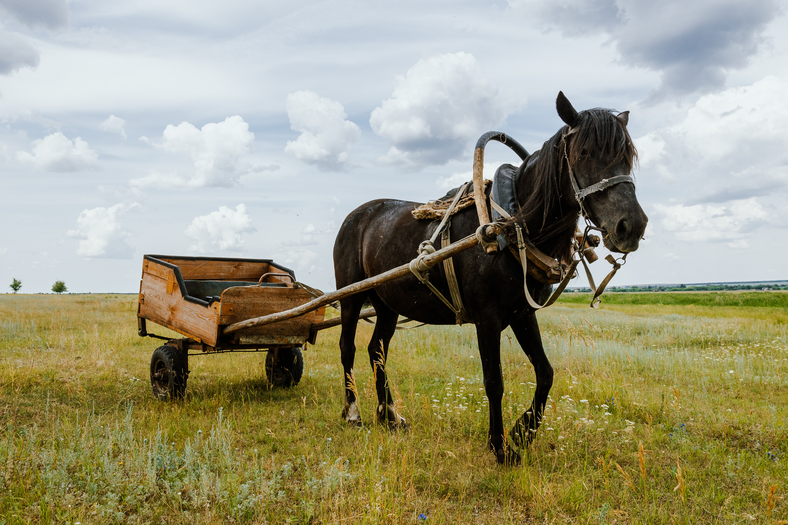 Ferma. Профессиональный фотограф Нурмиева Вероника