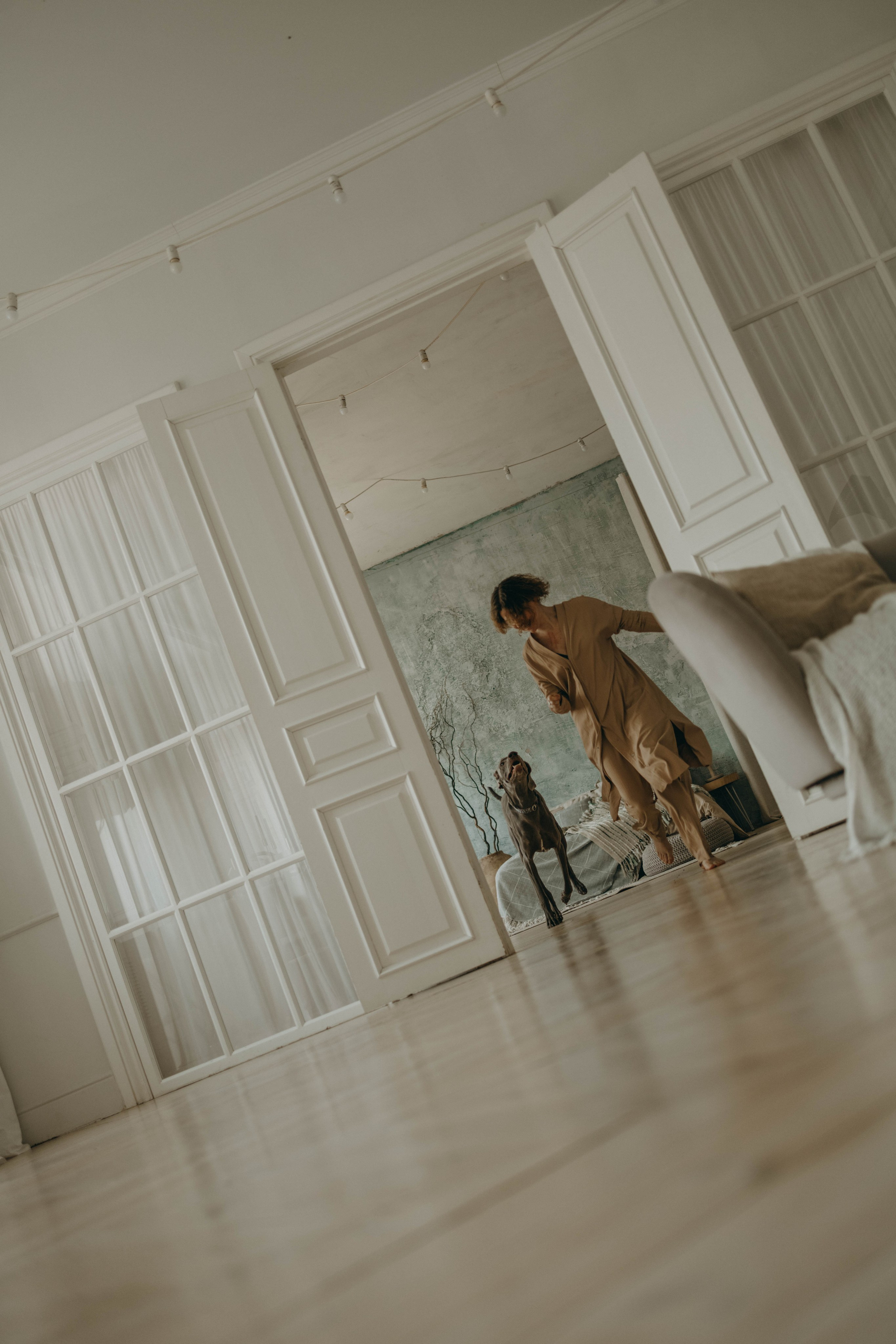 Фотосессия в студии с собакой. Фотограф-анималист в Екатеринбурге | Кристина