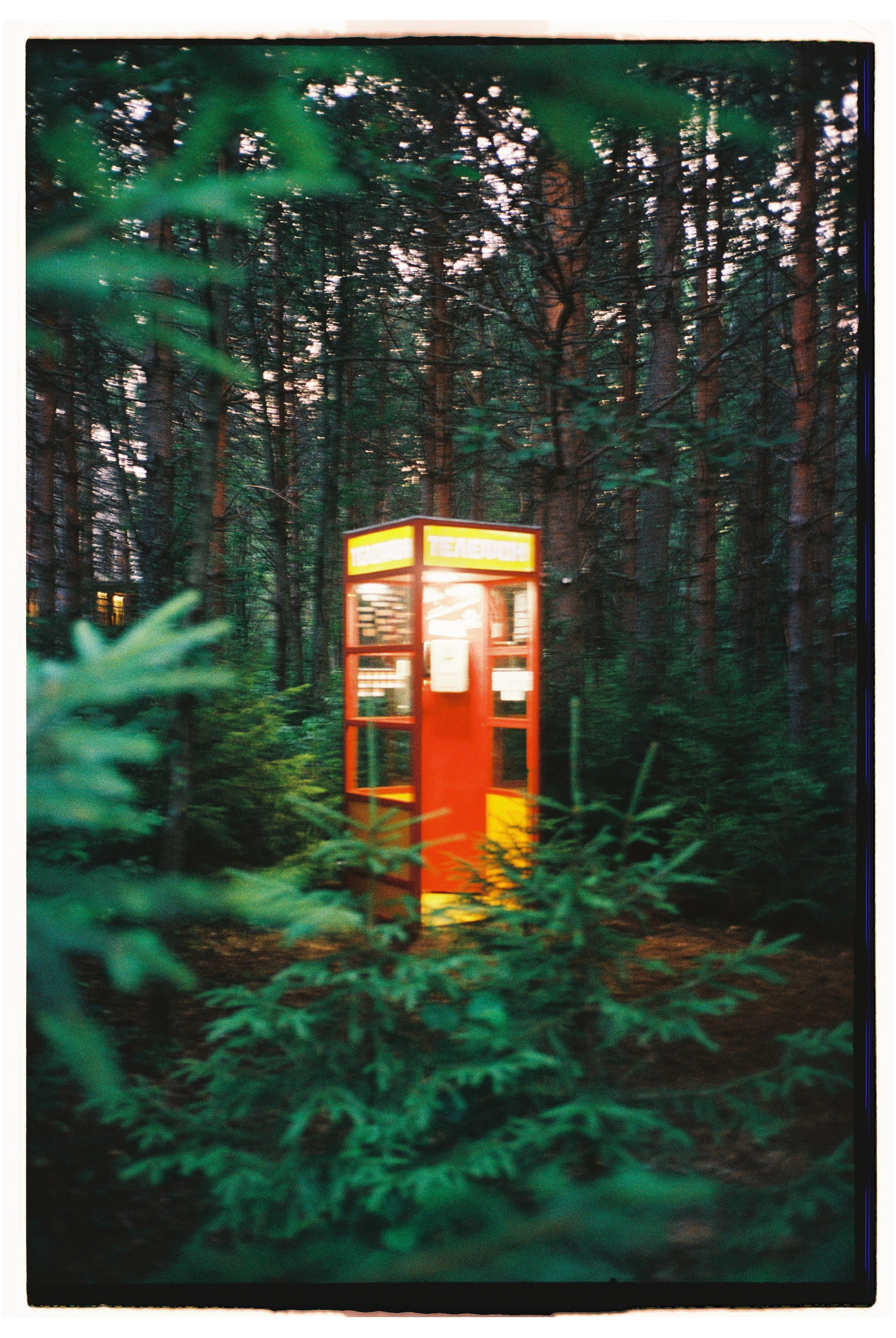 Outline 2024. @tomrus: Рустам Шагиморданов — фотограф