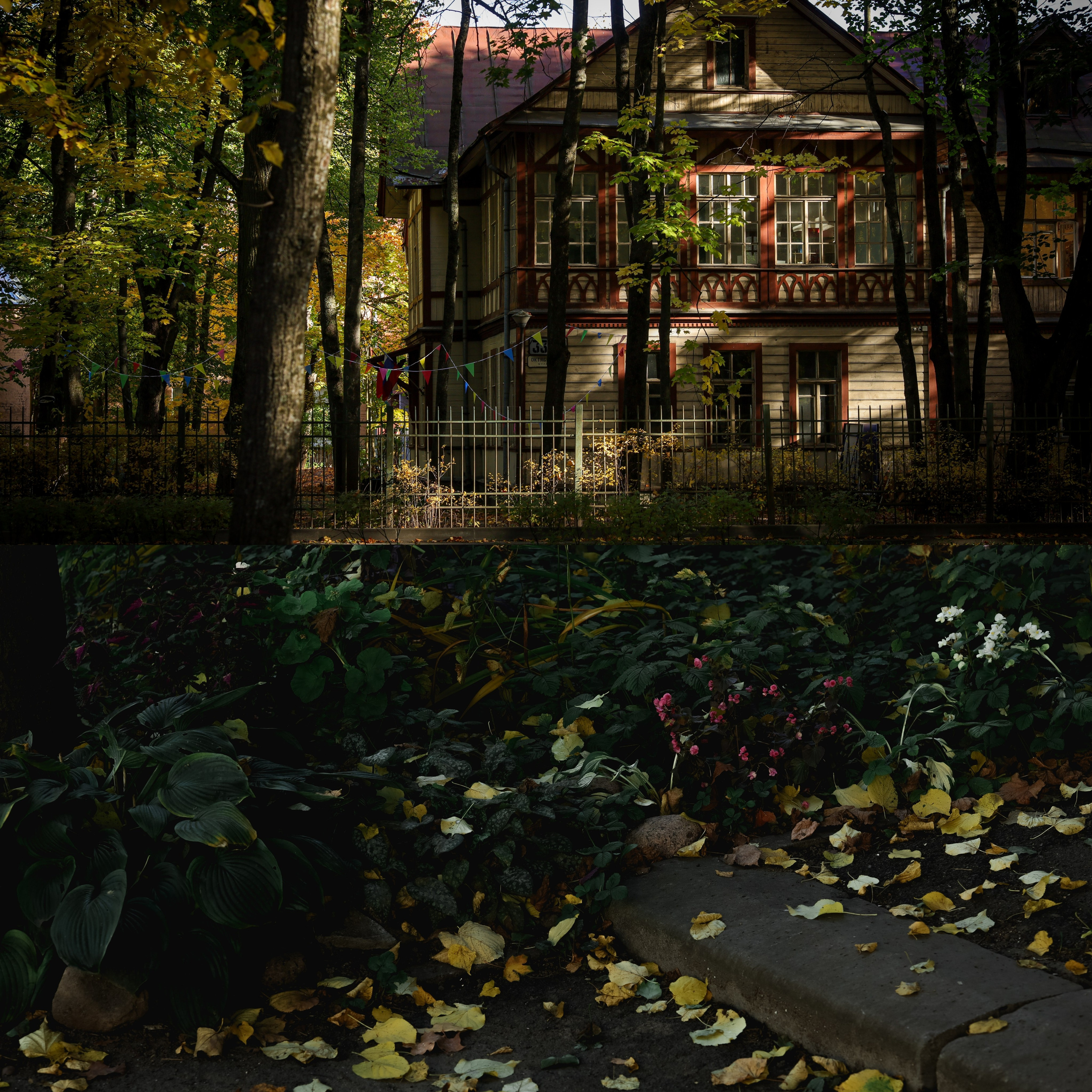 Природа &. Фотохудожник в СПб