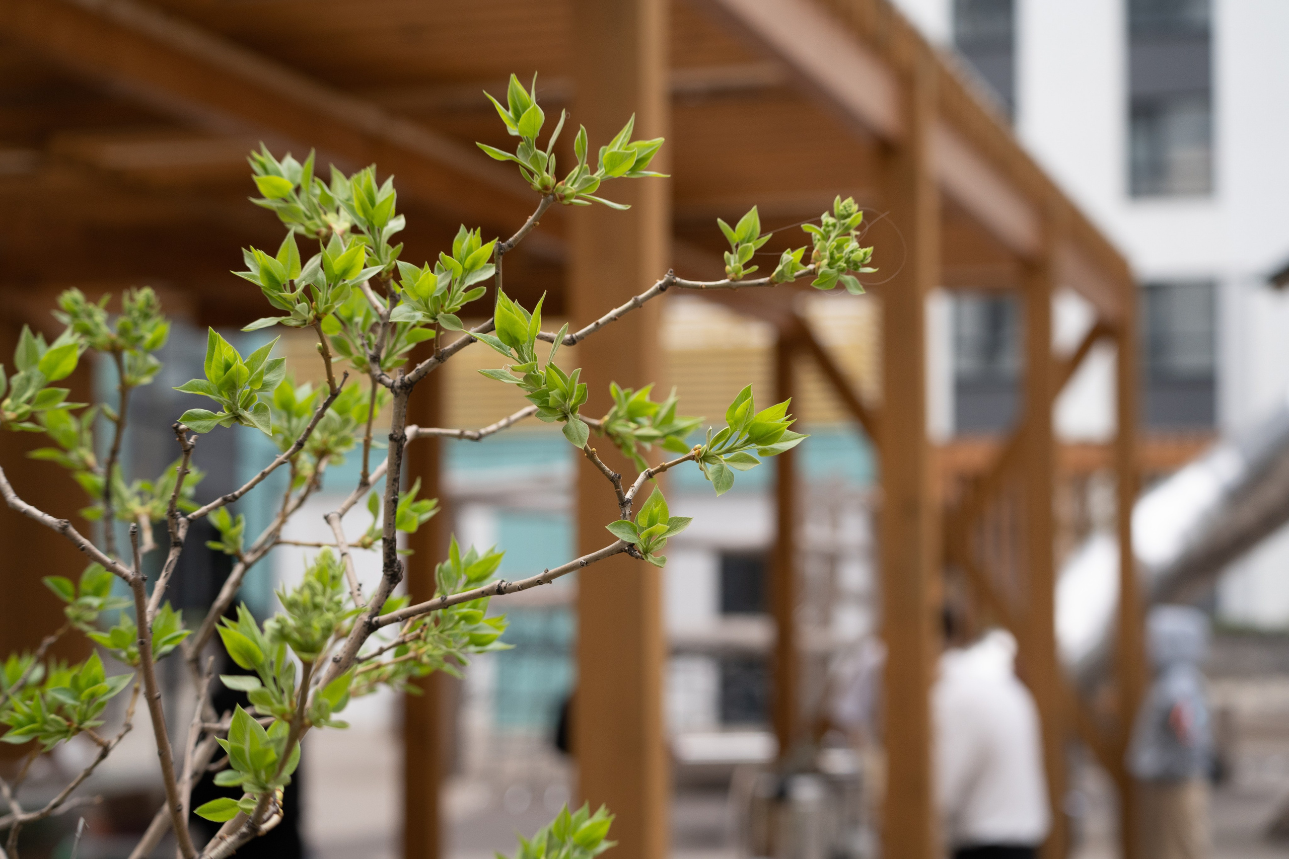 Субботник в ЖК «Панова парк». Фотограф в Самаре Иван Булатов