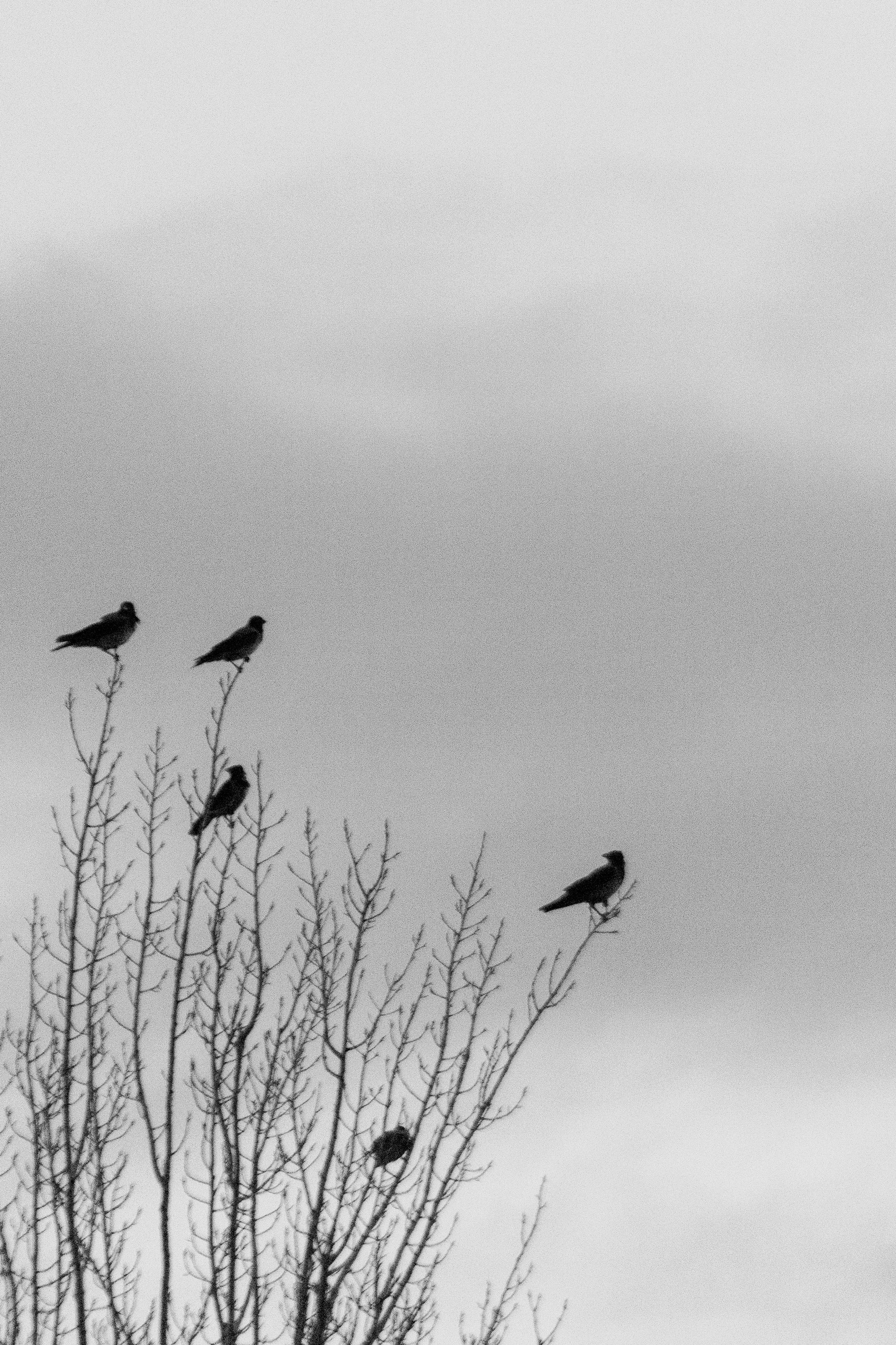 О себе. Фотограф Наталья Мершина