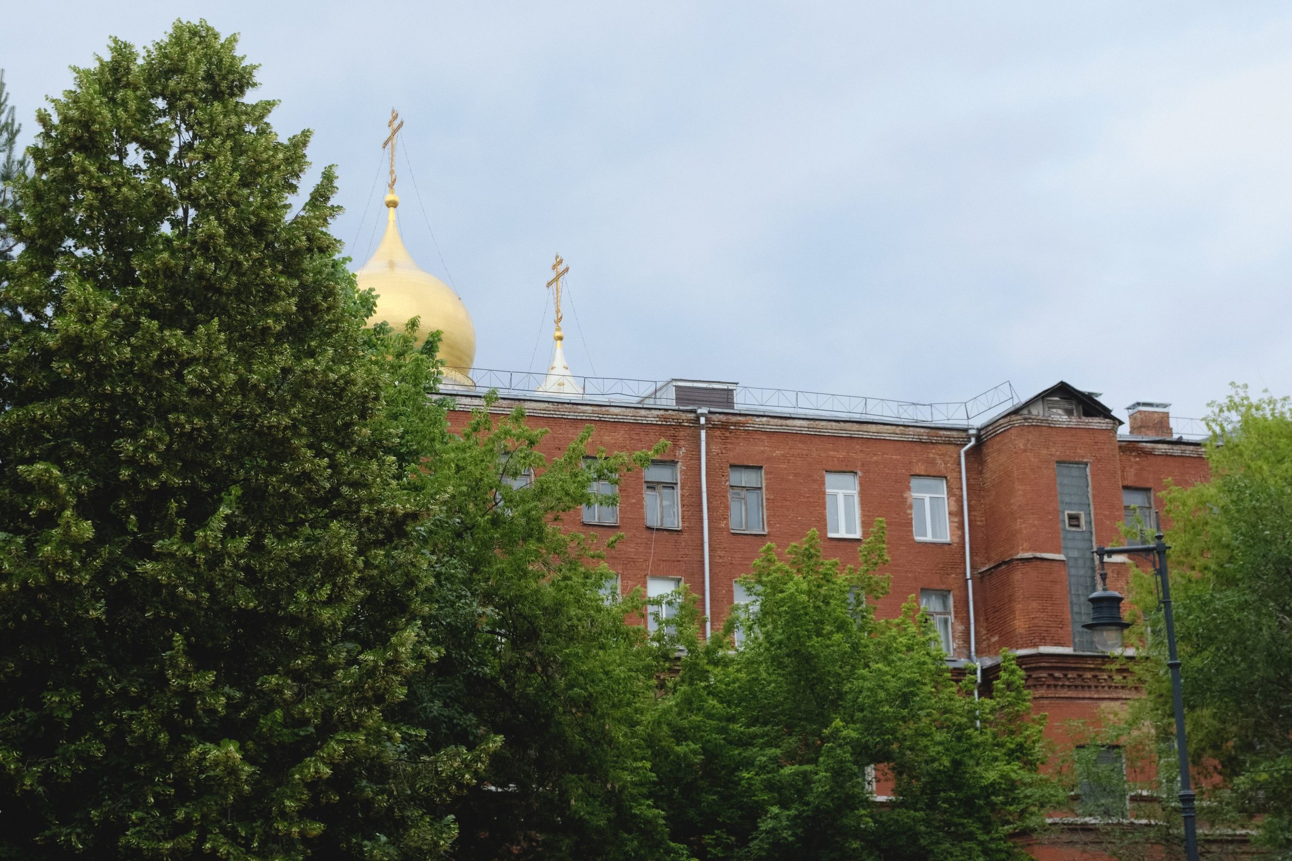 04 / 17.06.25. Женский фотограф-психолог в Москве Валерия Никитина
