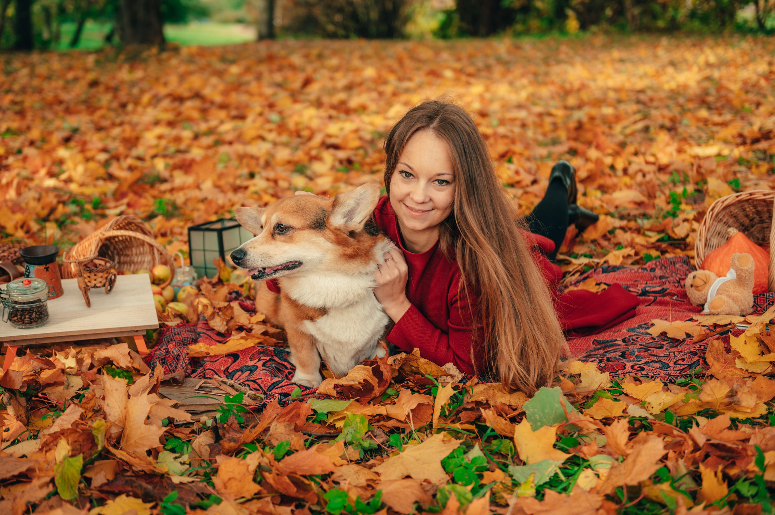 Дождь из листьев. Свадебный и семейный фотограф София Невская