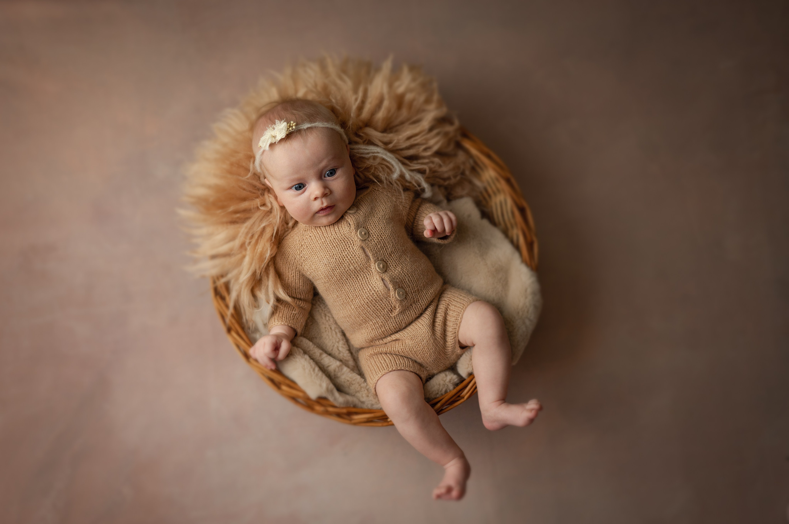 Галерея Пакета Baby. НЬЮБОРН ФОТОСЕССИИ, БЕРЕМЕННОСТЬ, ПОРТРЕТНЫЕ СЕМЕЙНЫЕ ФОТОСЕССИИ  Ногинск Москва ОЛЬГА ВОГЕЛЬ