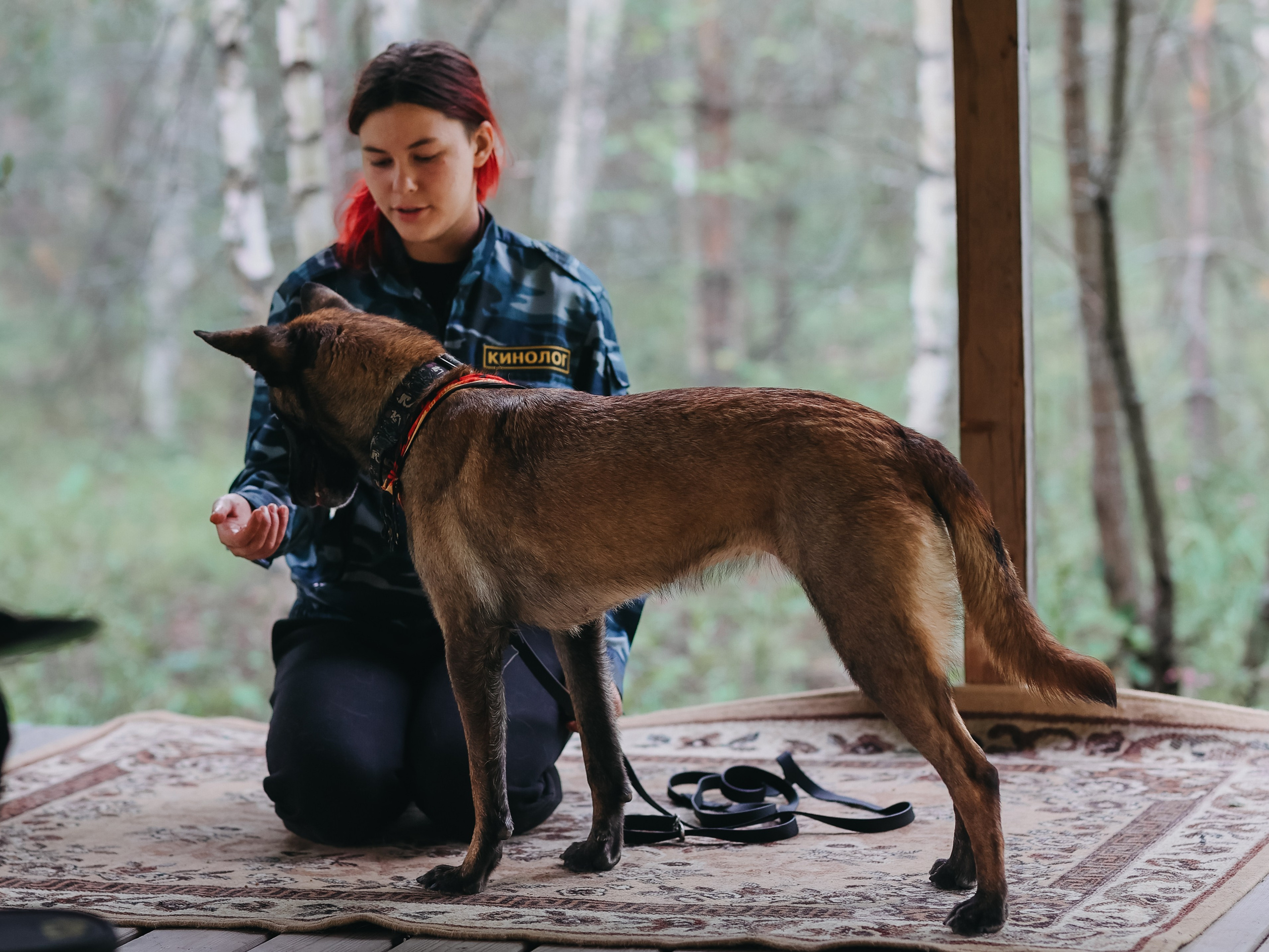 Лагерь ноузворк. Фотограф-анималист в Москве Кириллова Татьяна