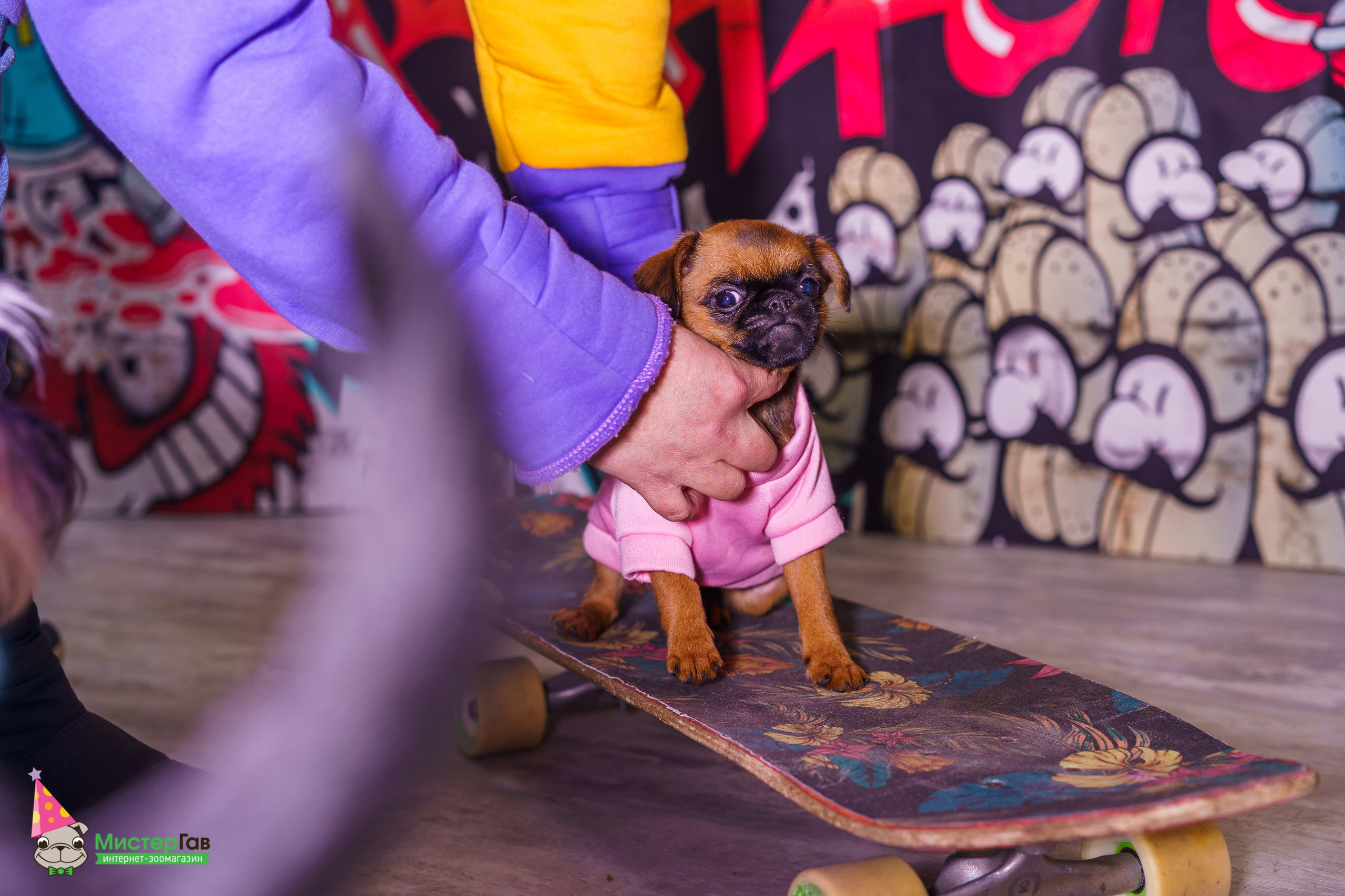 Мистер Гав -13 лет!. Фотограф Челябинск · Ольга Серебрякова