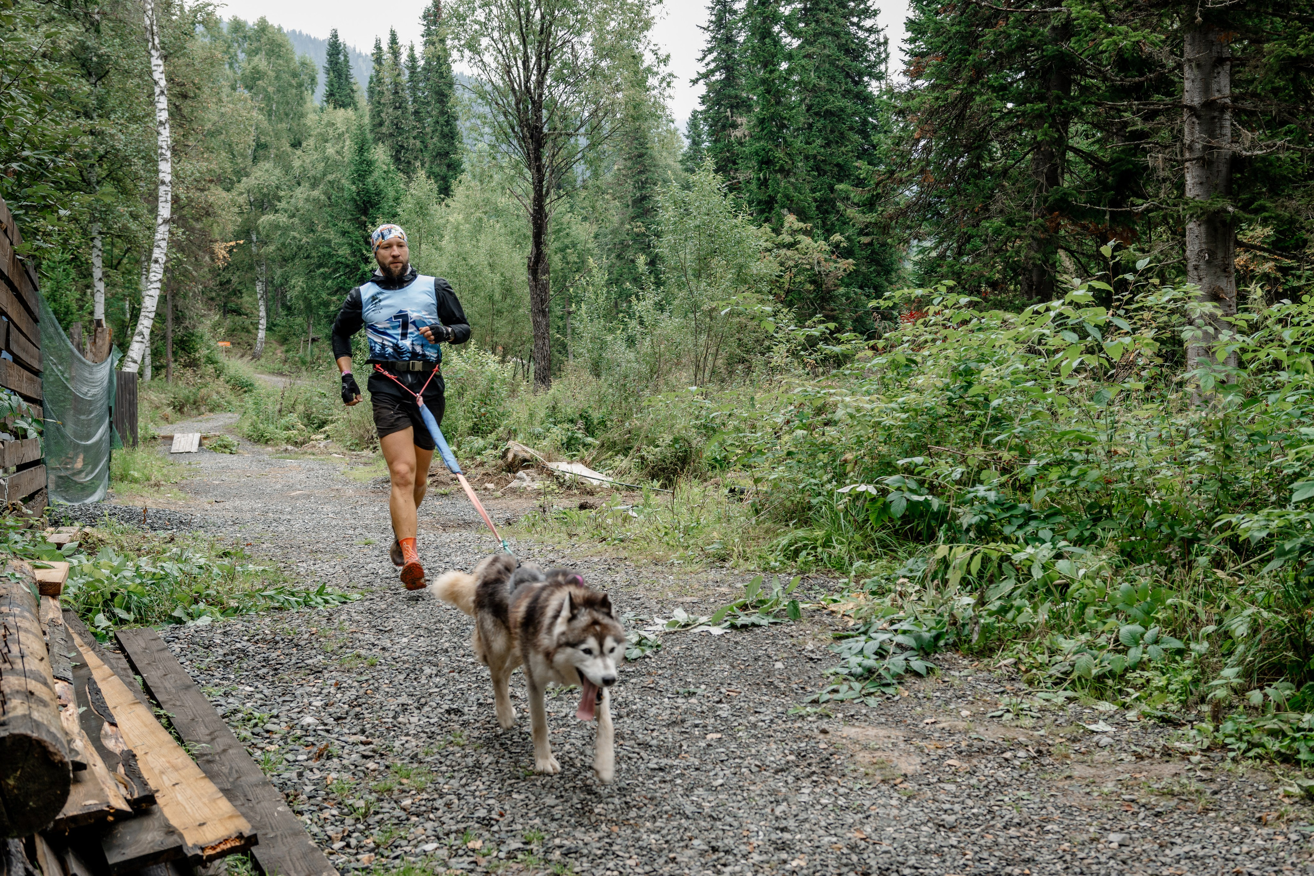 Дог-треккинг