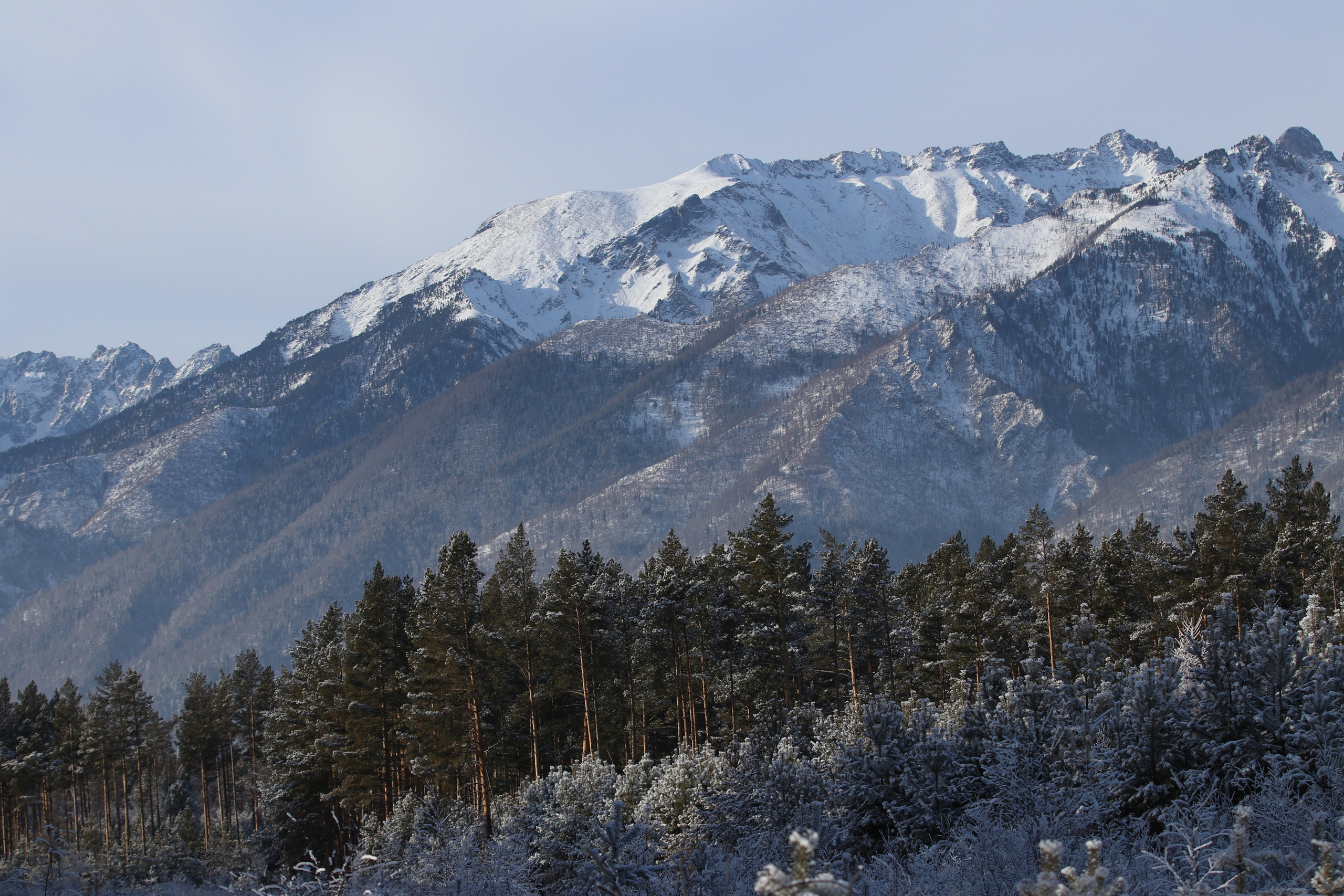 Аршан. Январь 2024. Путешественник-фотограф из Санкт-Петербурга Татьяна Свистулина