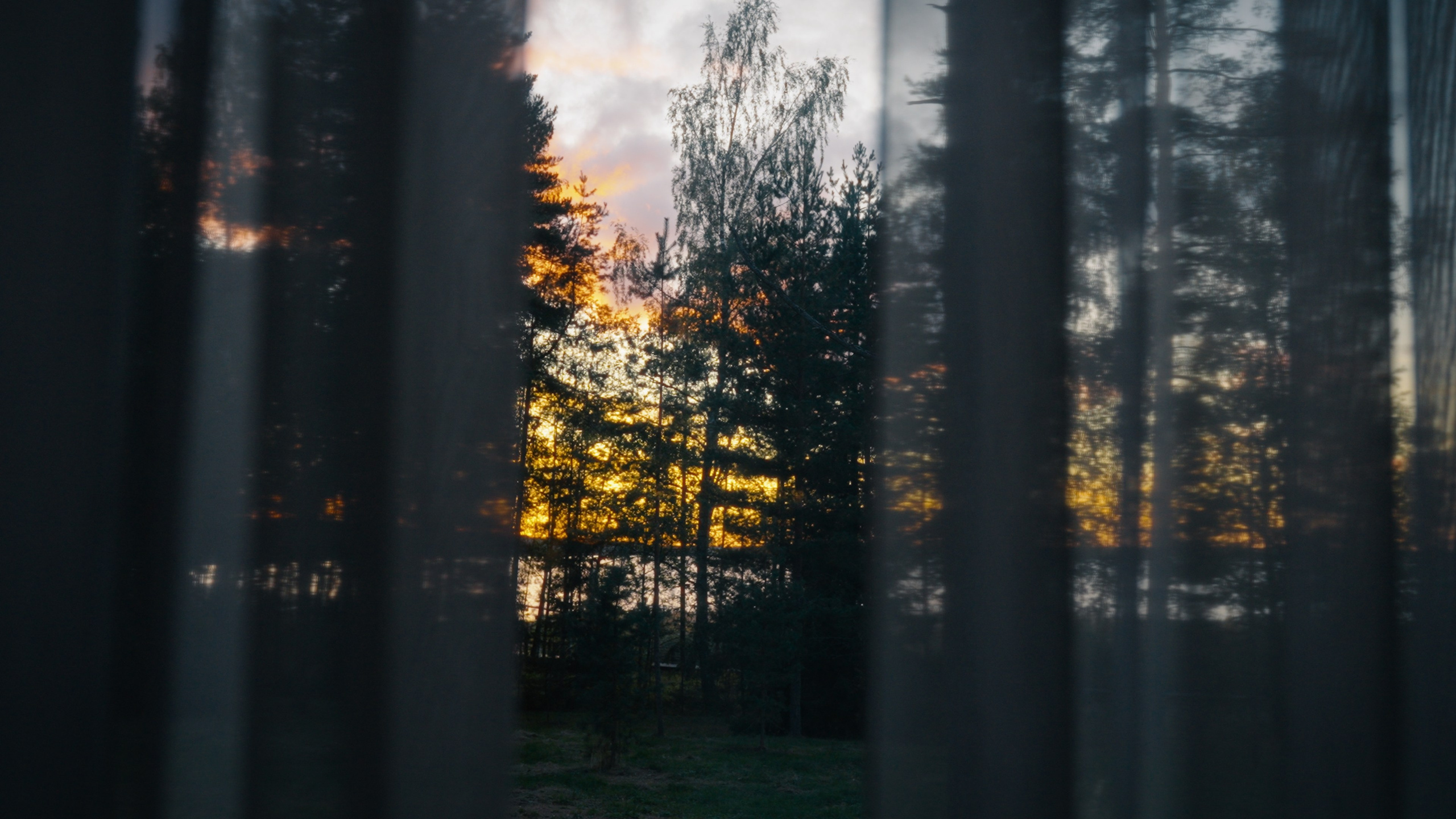 Тихолесье — Ваш дом и уют (promo). Цветокоррекция видео онлайн Иван Сержанов