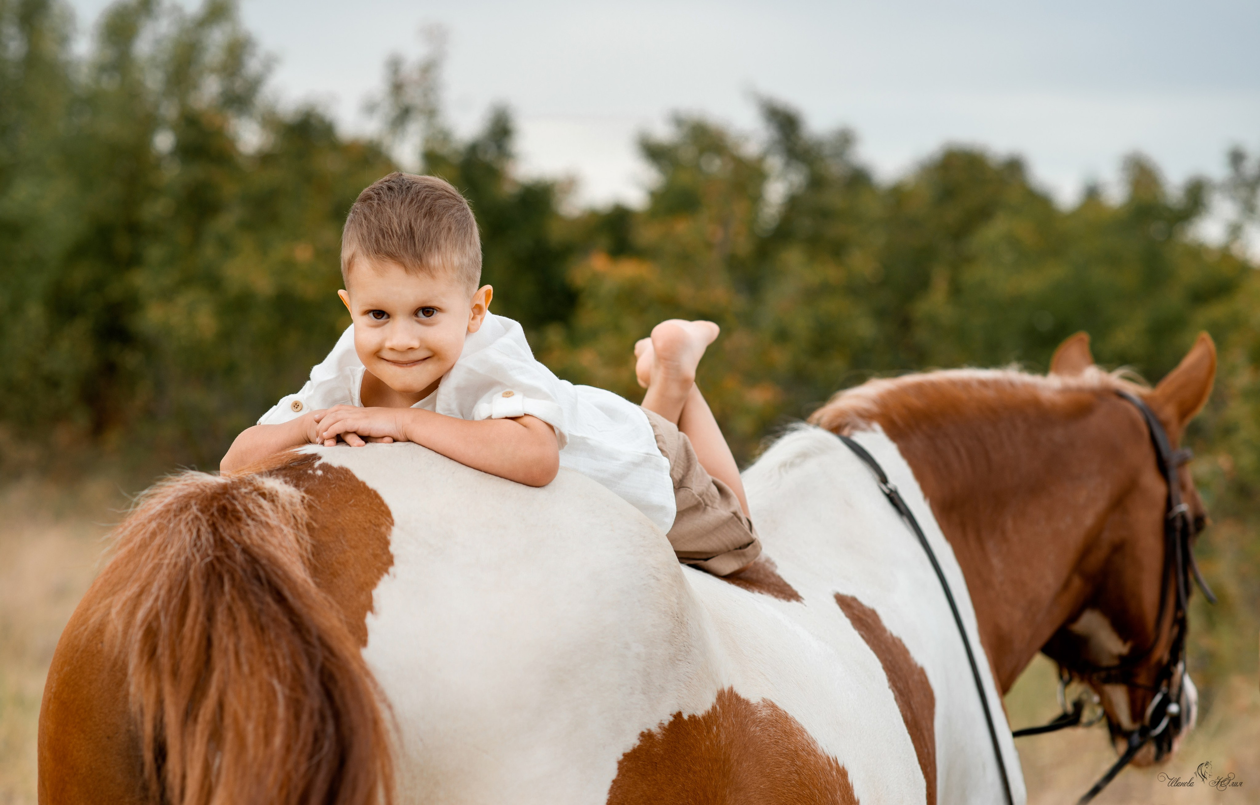 Арсений и Герда. Конный фотограф в Саратове Юлия Иванова