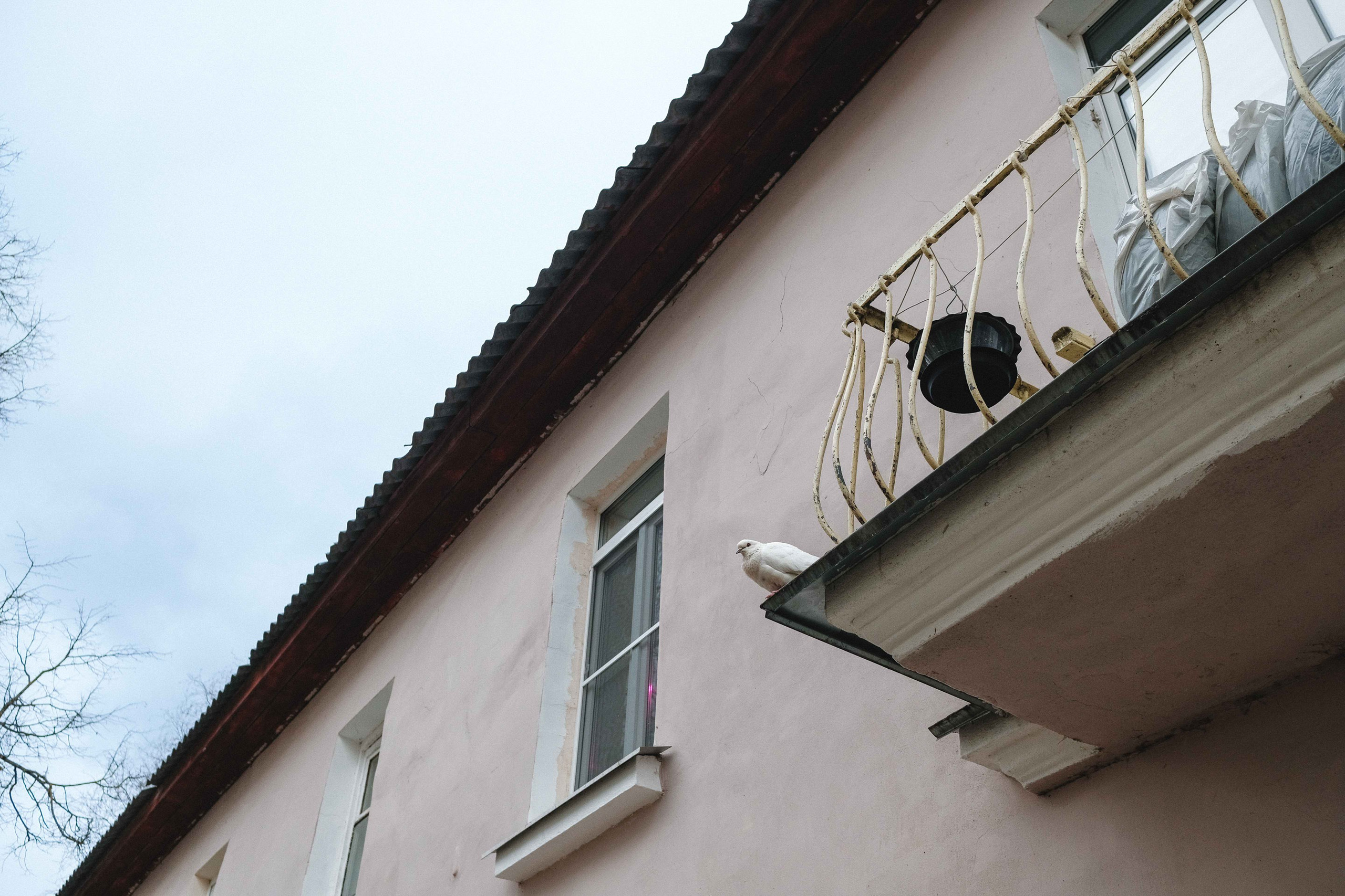 2022.05. Фотограф Алексей Алексеев