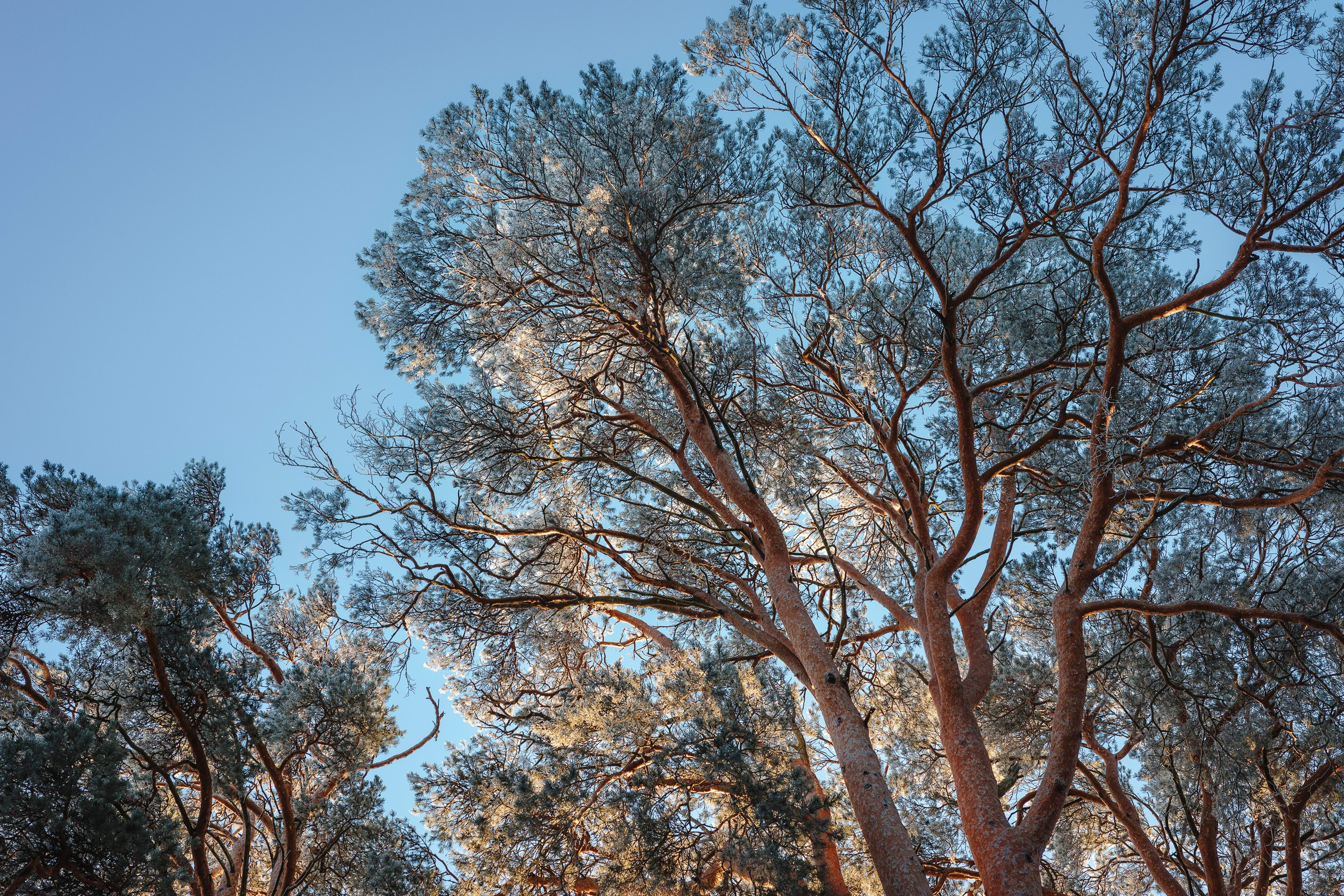 2024.01. Фотограф Алексей Алексеев