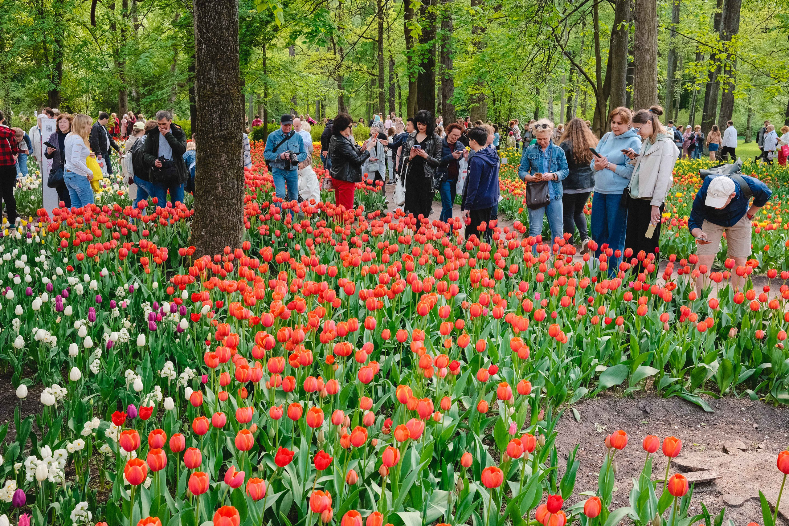 2023.05. Фотограф Алексей Алексеев