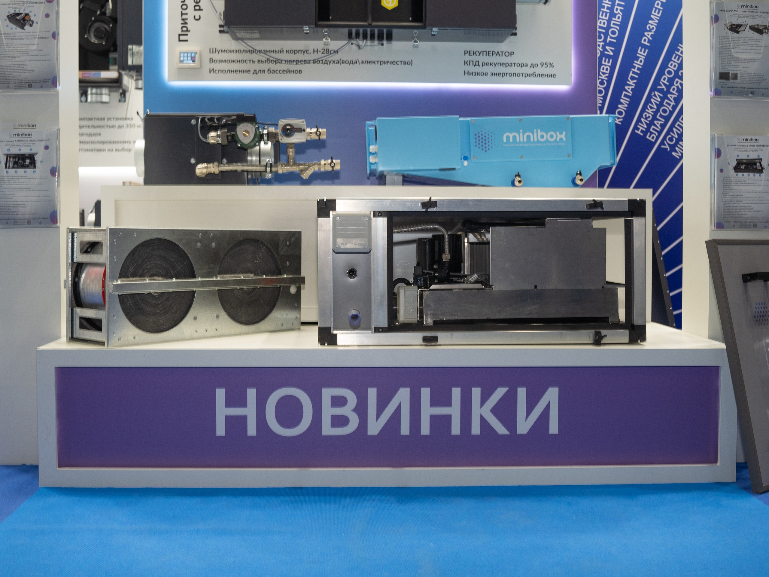 Крокус Вентиляция. Фотограф Зинаида Евдокимова