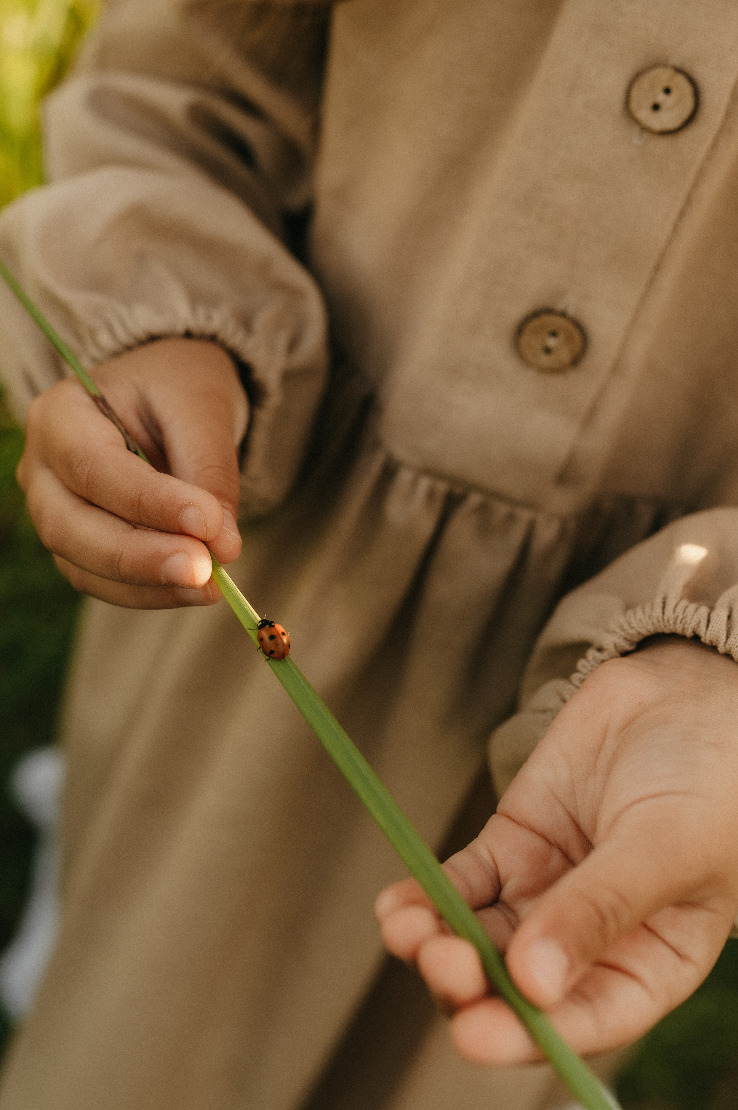 Для Нади и Василисы. Семейный фотограф в Новомосковске, Туле и Москве Ольга Бубликова
