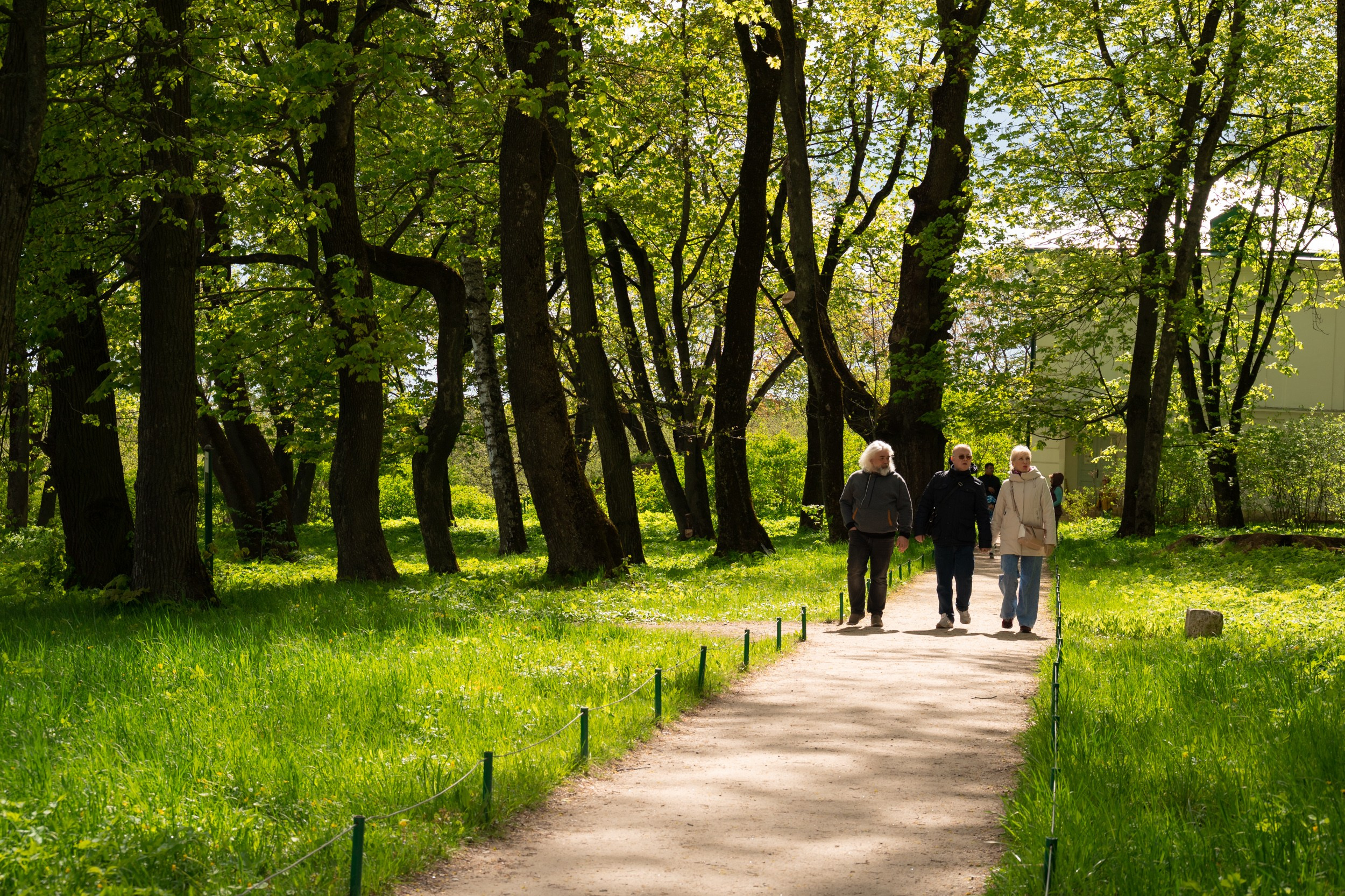 Ясная поляна. Фотограф и видеооператор в Туле | Даниил Рыбак