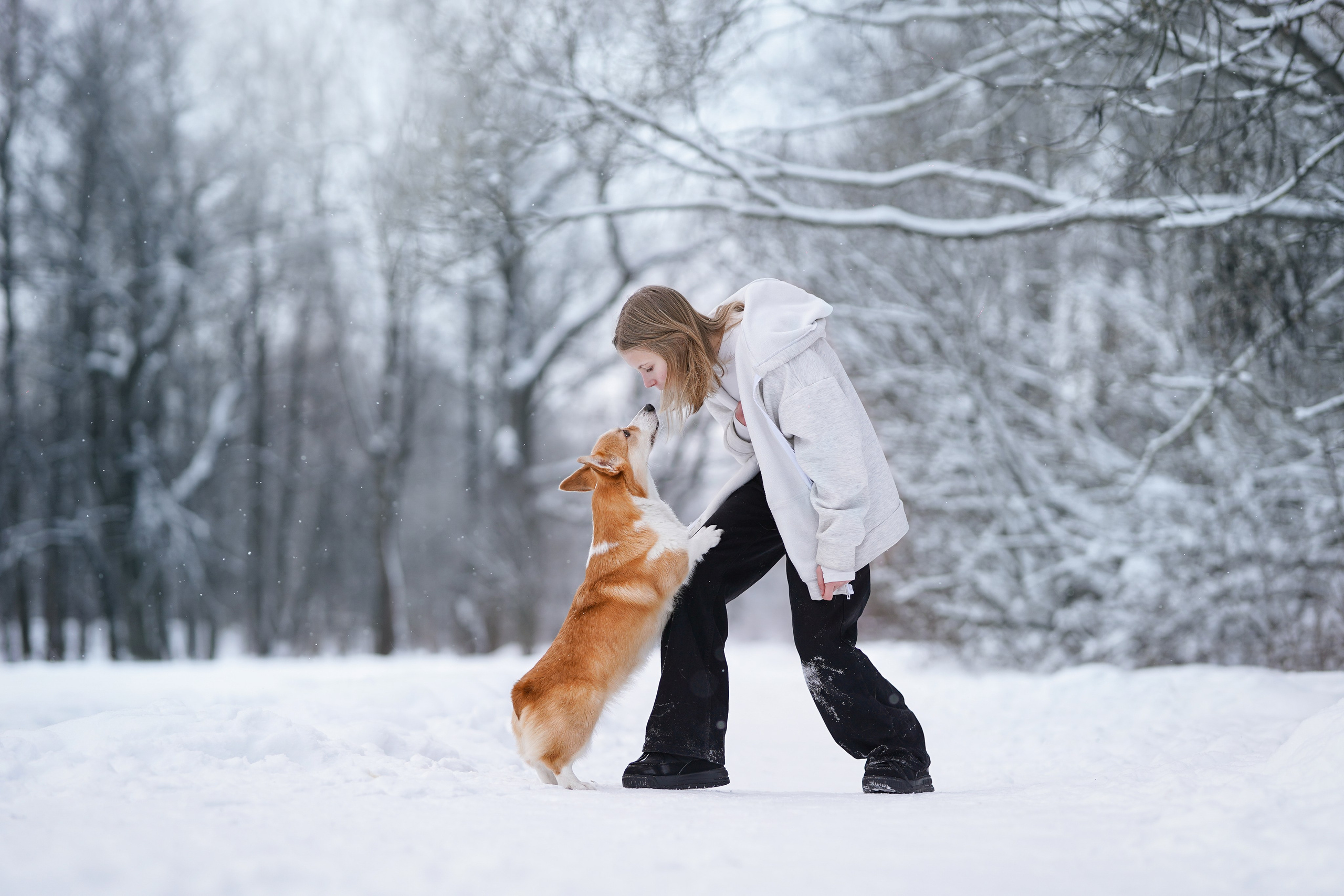 Кристина и Лаки. Фотограф-анималист в Санкт-Петербурге Яна Мартынова
