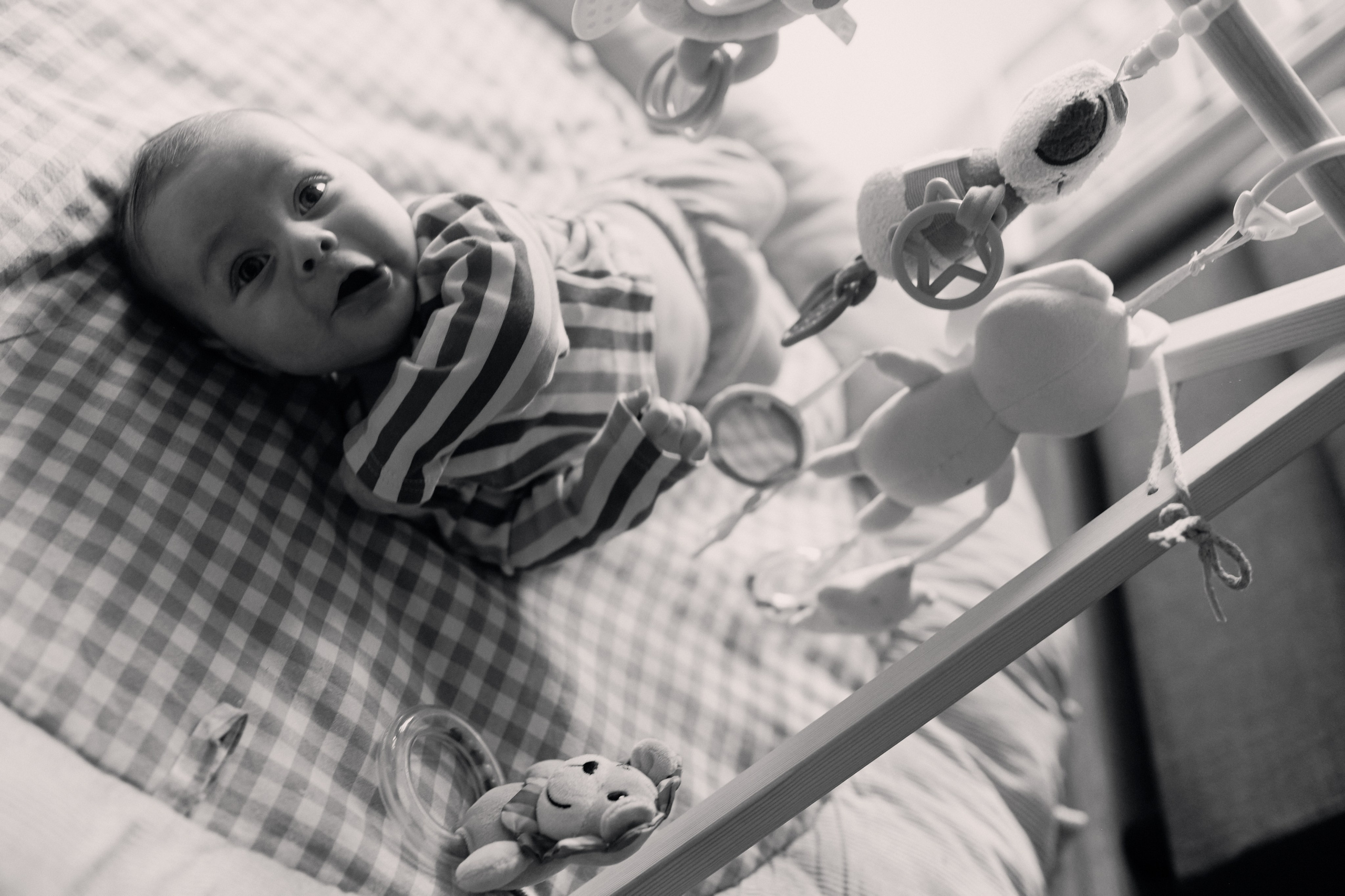 Эмир, Диана, Леон и Амин дома. Семейный и свадебный lifestyle-фотограф в Москве Мария Петрова