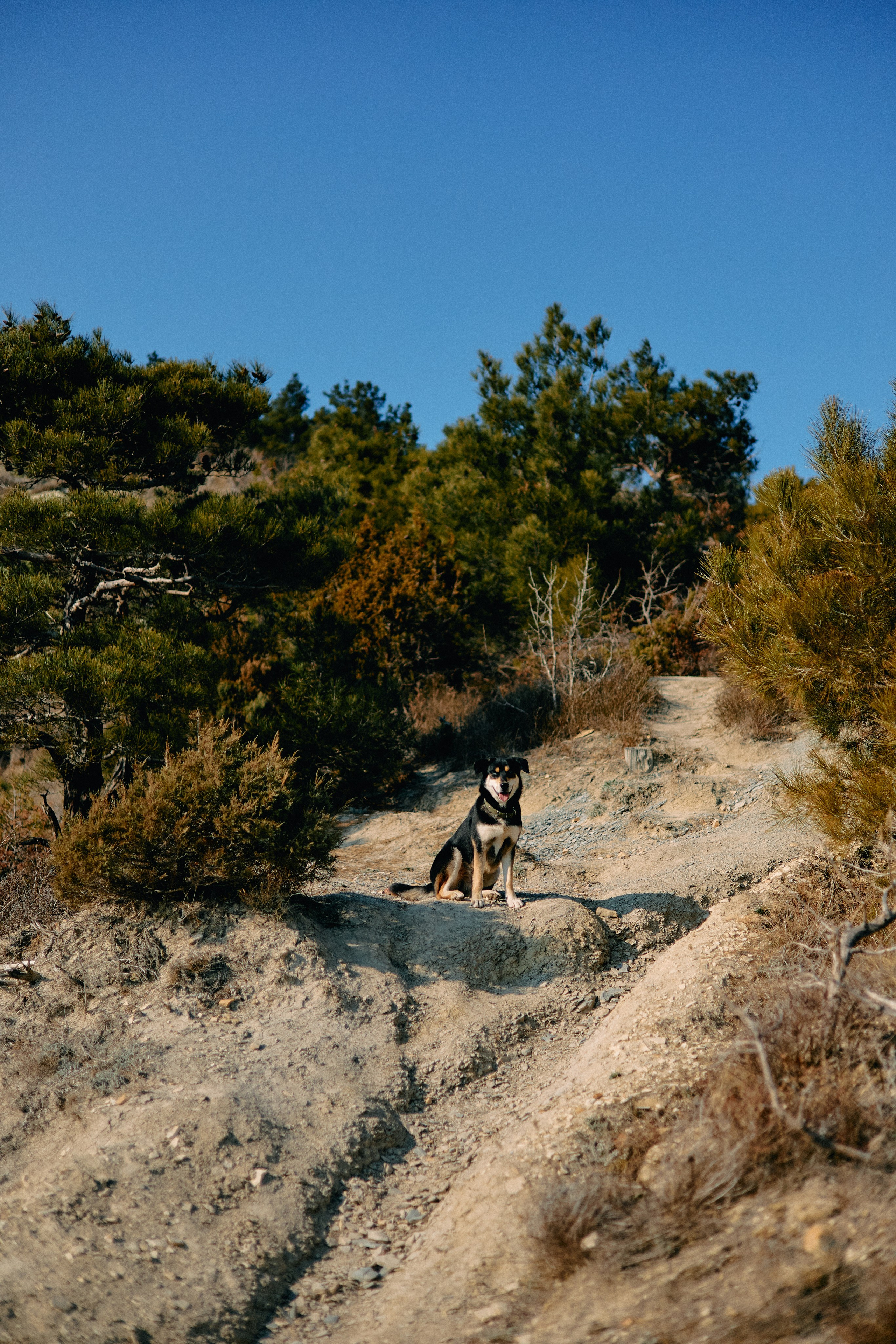 Юг России. Профессиональный Фотограф во Владимире, в Москве и в Суздале — Полина Романычева