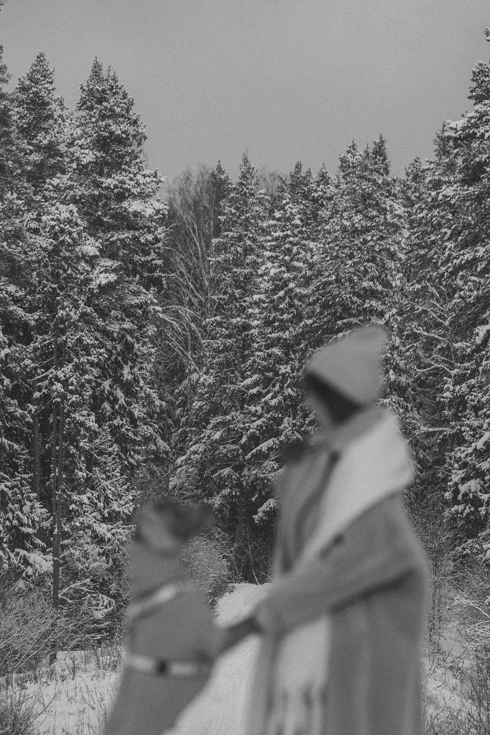 Лена и Фанни. Фотограф анималист в Москве и Санкт-Петербурге Свиридова Анна