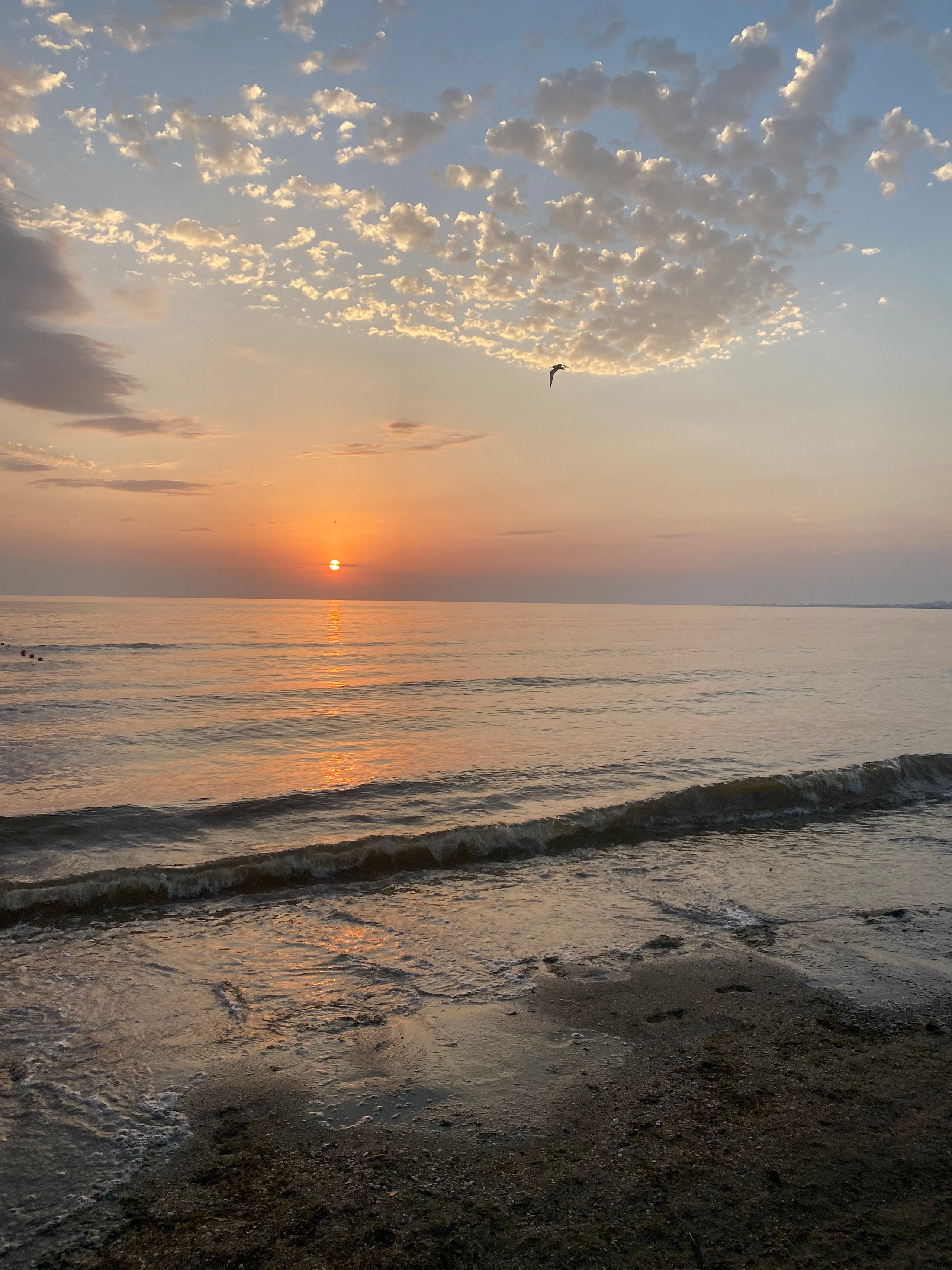 Пляжный поселок — 21. Своя Мастерская