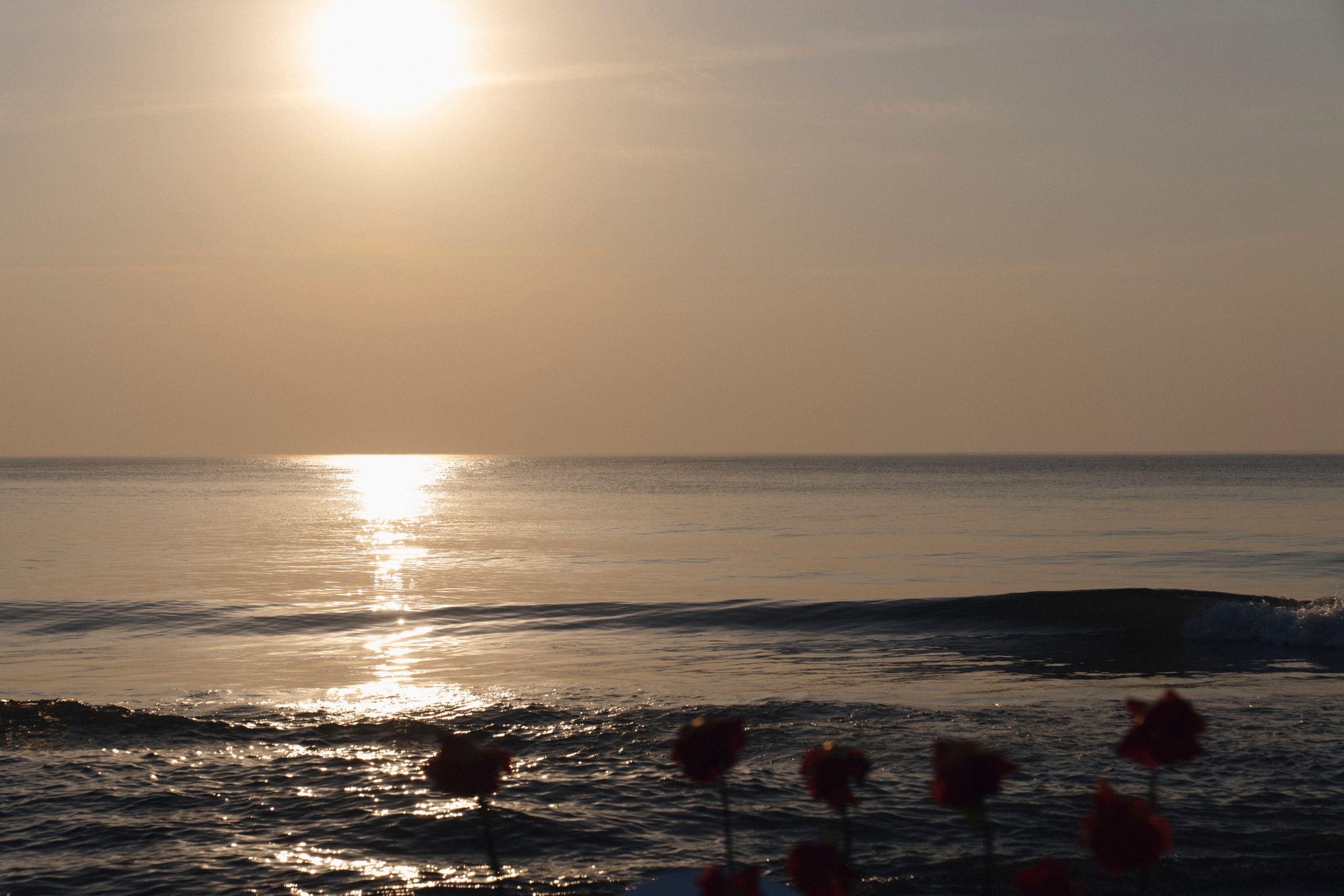 Пляж. Свадебный фотограф Наташа Брифли