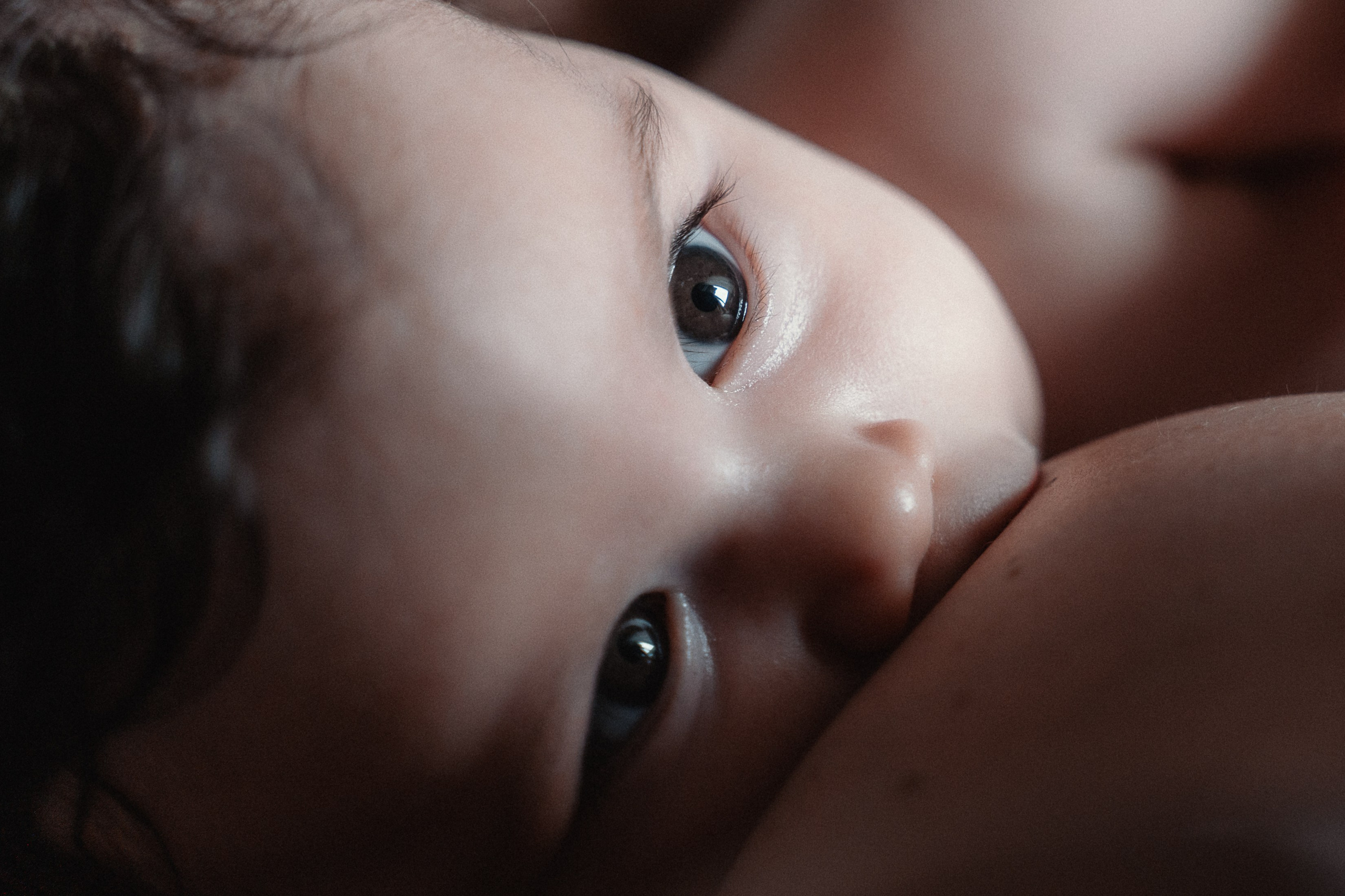 NEWBORN. Family Lifestyle Photographer in Lucca, Italia