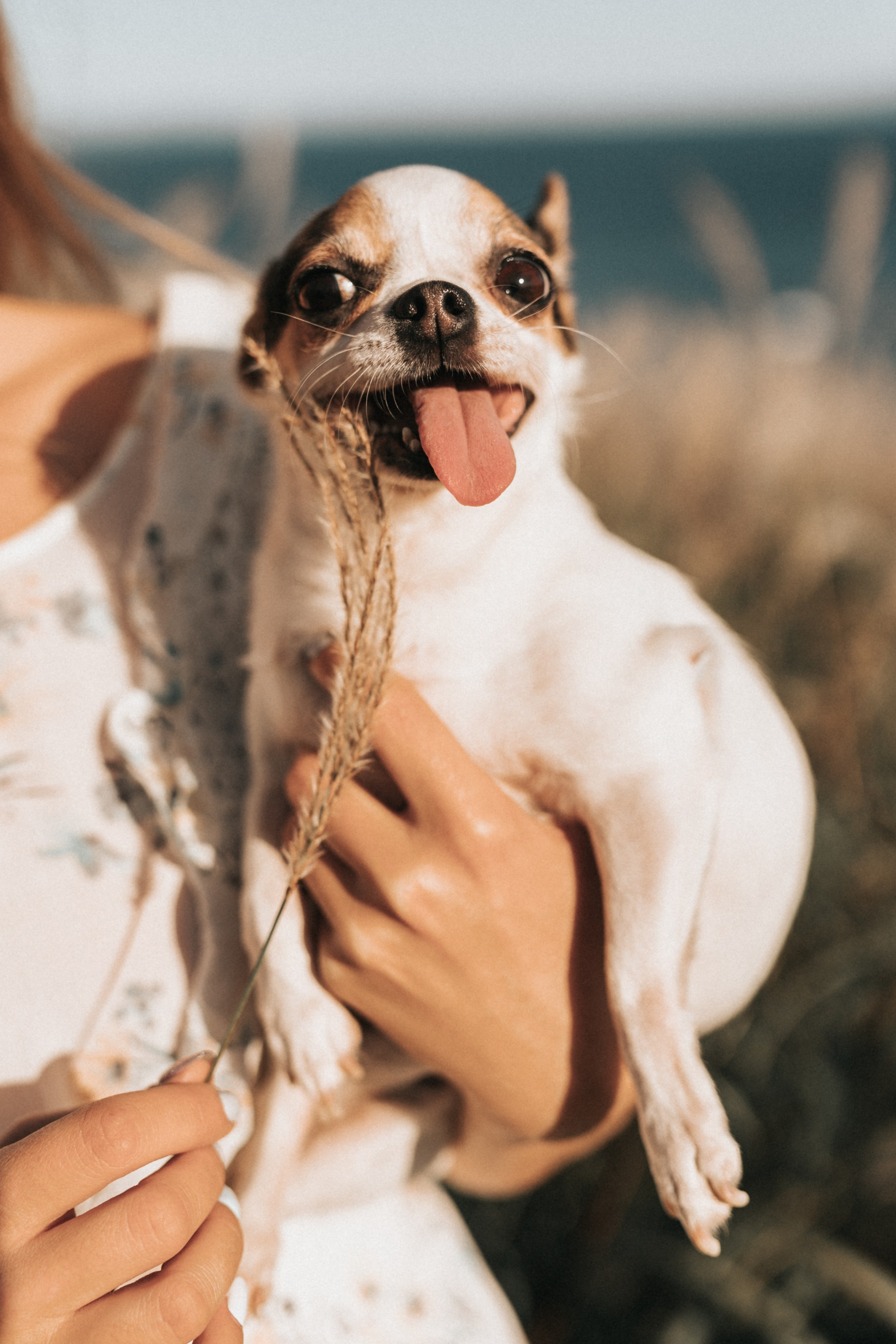 Маргарита. Свадебный и семейный фотограф во Владивостоке Овчинникова Дарья
