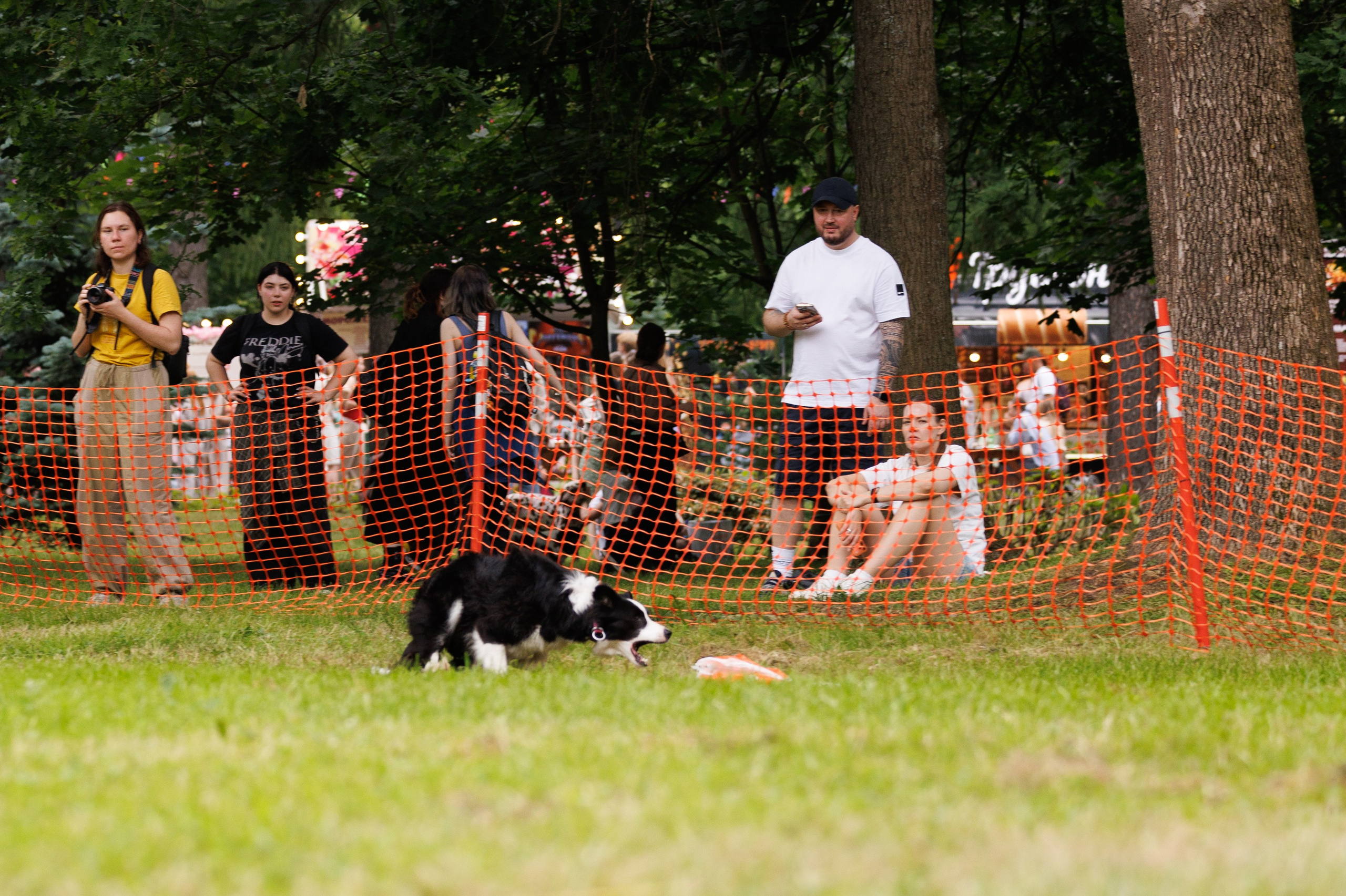 PetShopDays2026. Фотограф Александр Заломаев