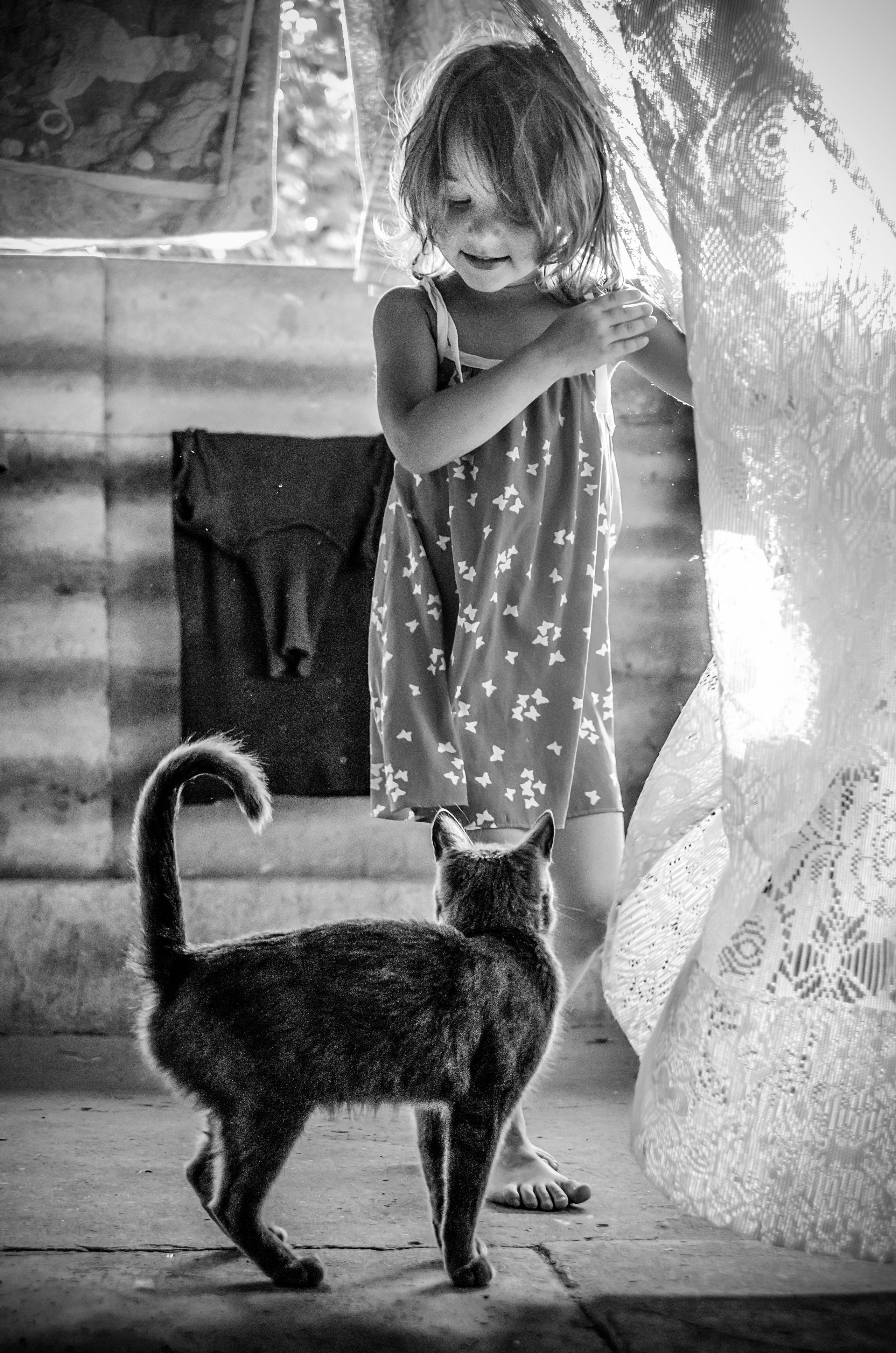 Серии «Кошка». Мультижанровый фотограф Дарья Strebog