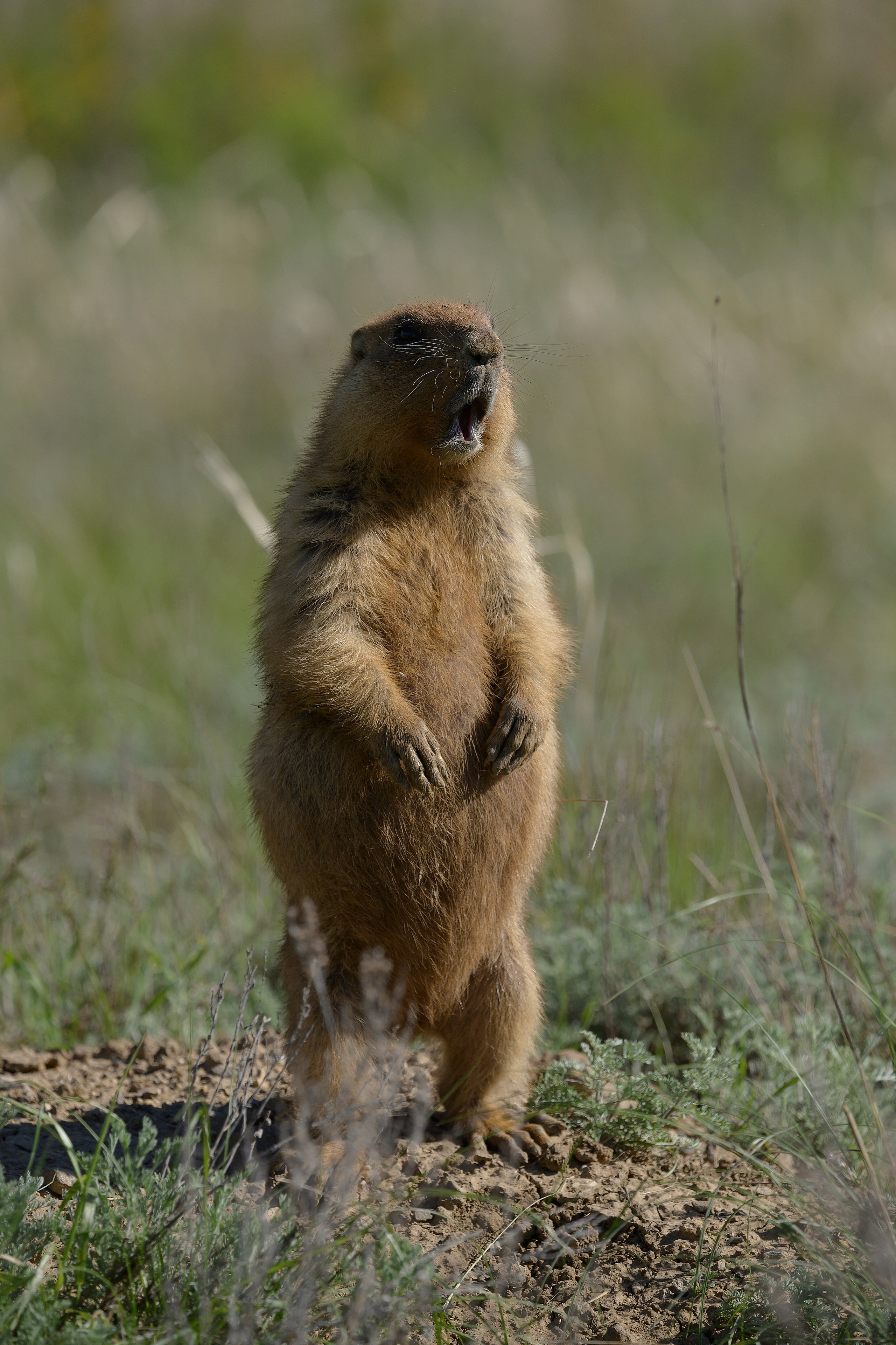 Оренбуржье. Портретный фотограф в Челябинске Катерина Руди
