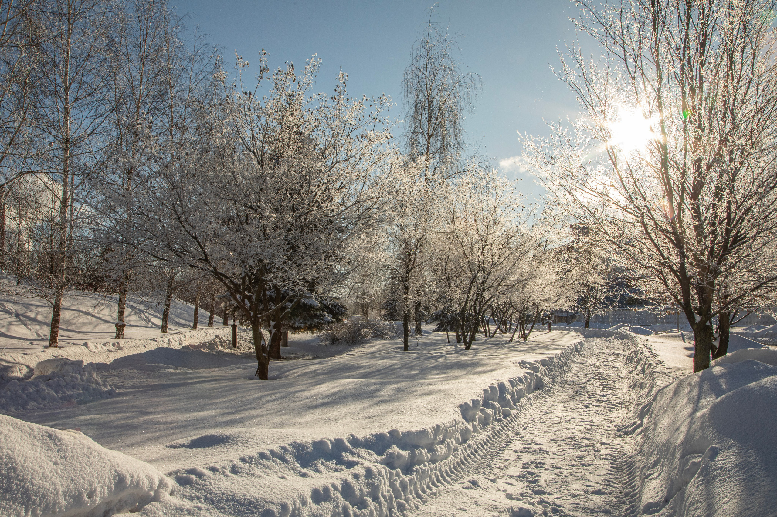 Марафон у дома, 7 этап, Химки, 21 января 2024 г. Фотограф Сергей Ловкий