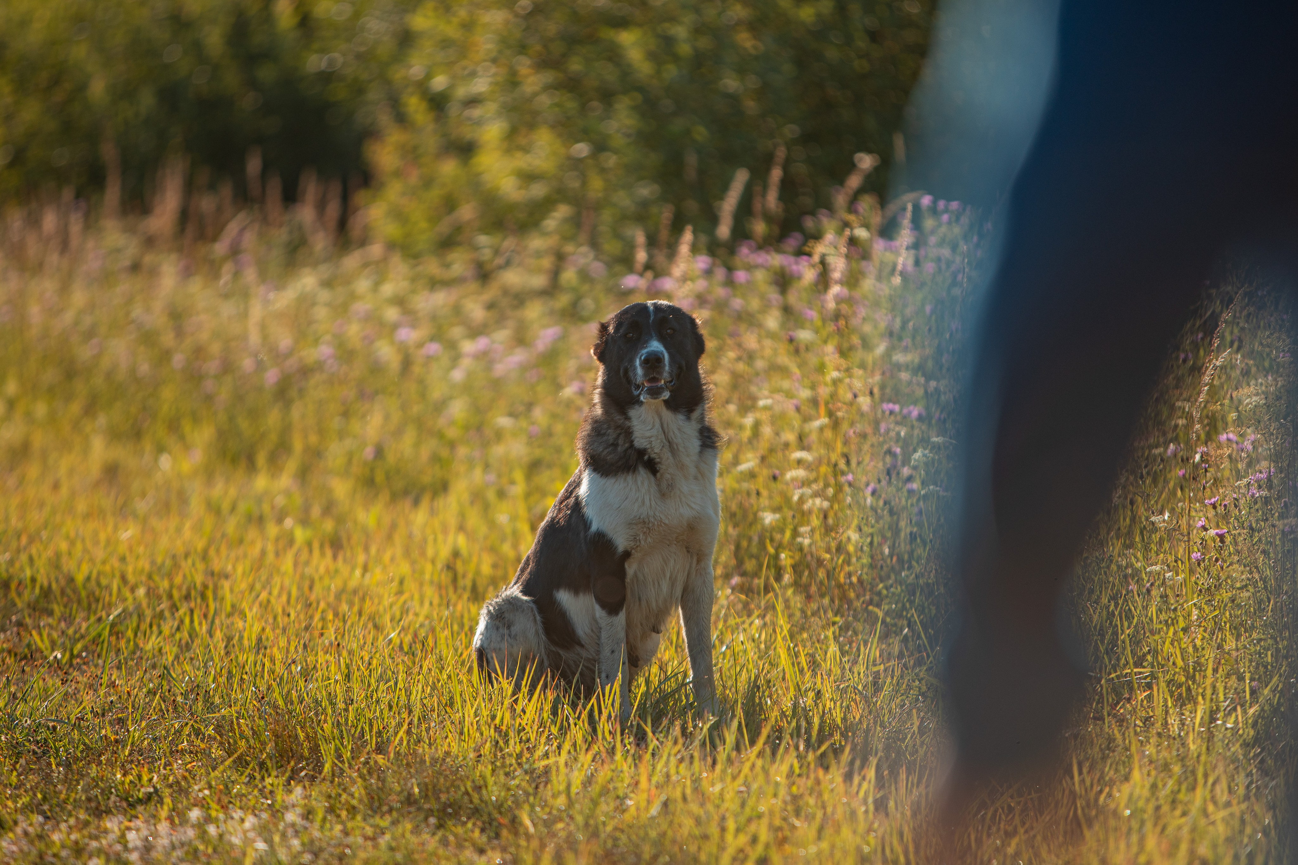 Село Тимирязево, Лухский район. Фотограф Сергей Ловкий
