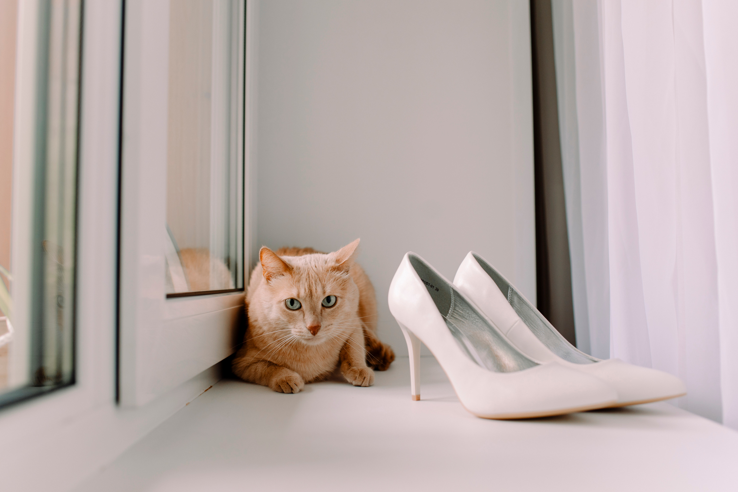 Марина и Гриша. Семейный и свадебный фотограф в Рязани Лиза Голованова