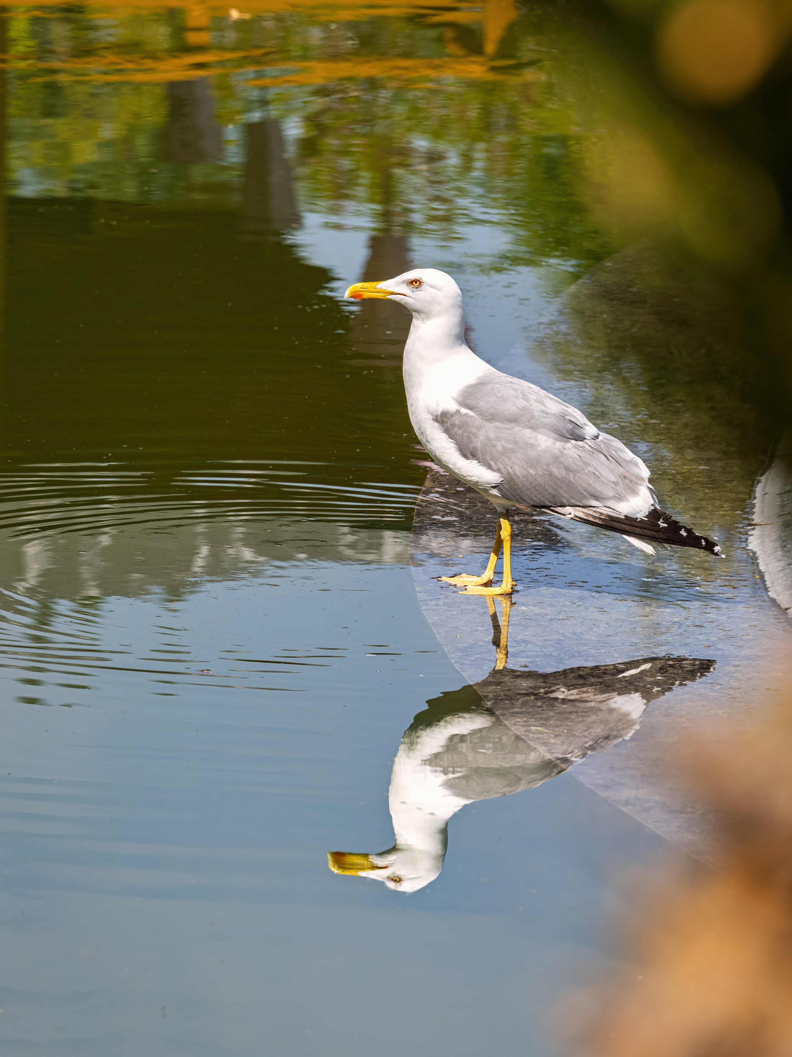 Крым, Утес, 2021 год. Фотограф Никифоров-Гордеев Сергей. Москва и МО