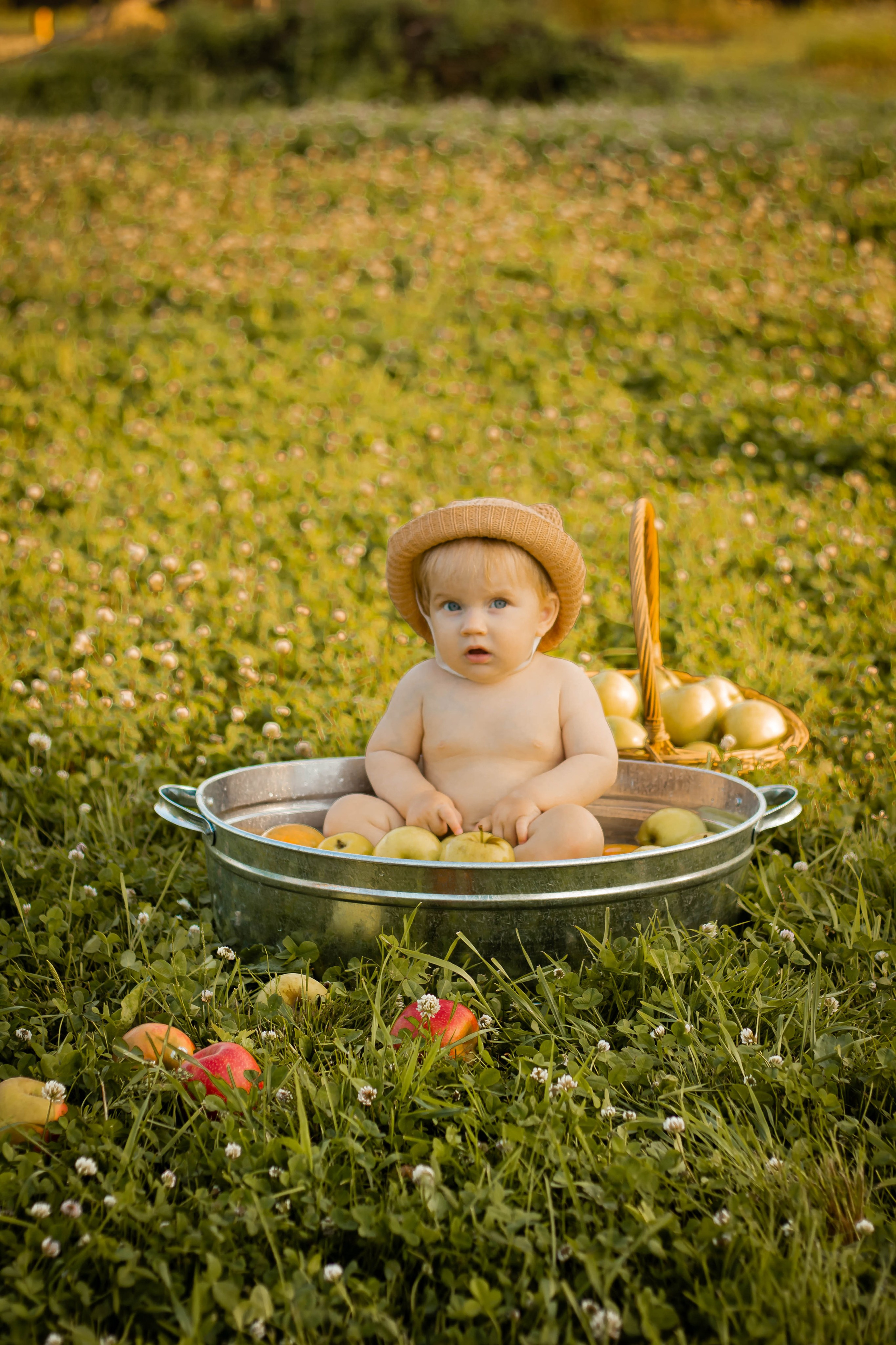 Яблочный рай. Семейный и детский фотограф в Павловском Посаде Сарапкина Наталья