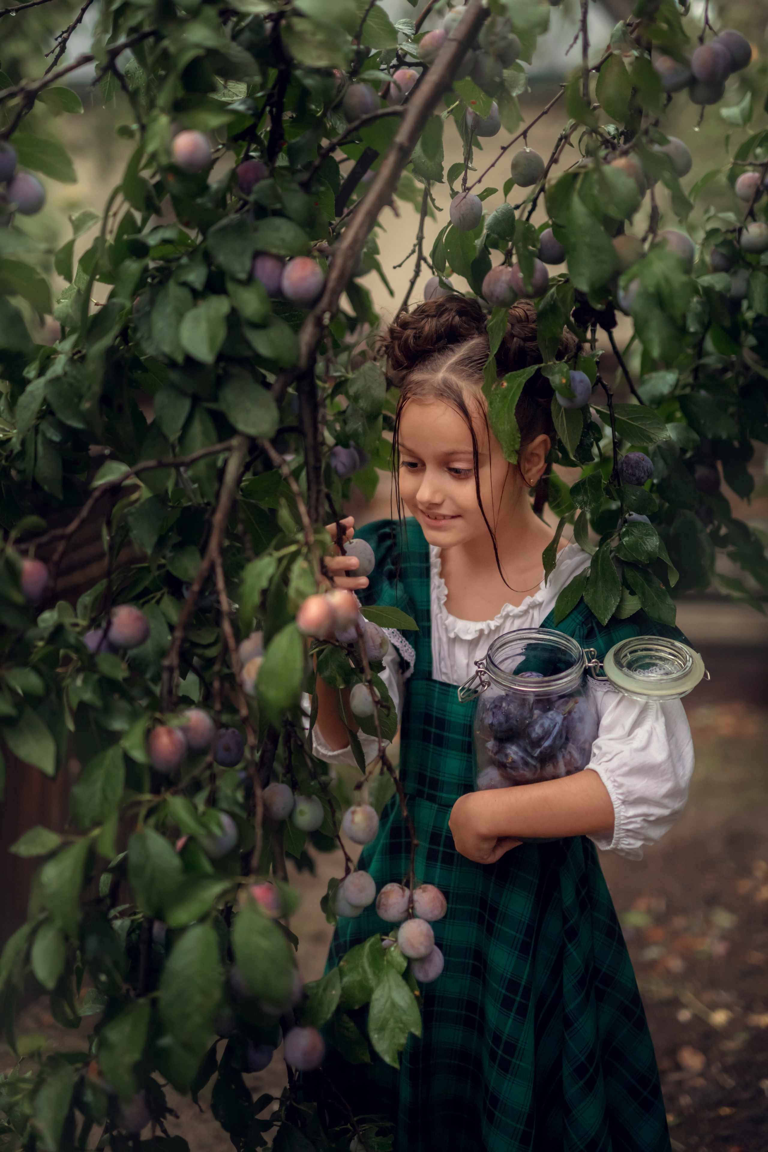 Сливовая история. Семейный и детский фотограф Екатерина Савёлова