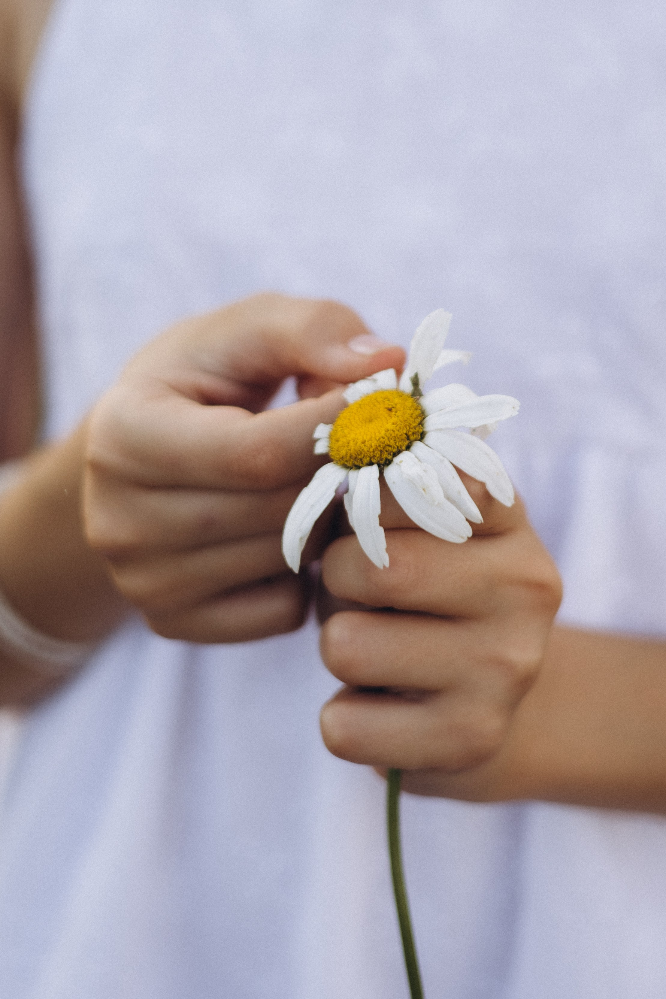 Детская фотосъемка (6.07.2025) ст. Староминская (Краснодарский кр.). Надежда Стар семейный и церковный фотограф в Жукове и Калужской области