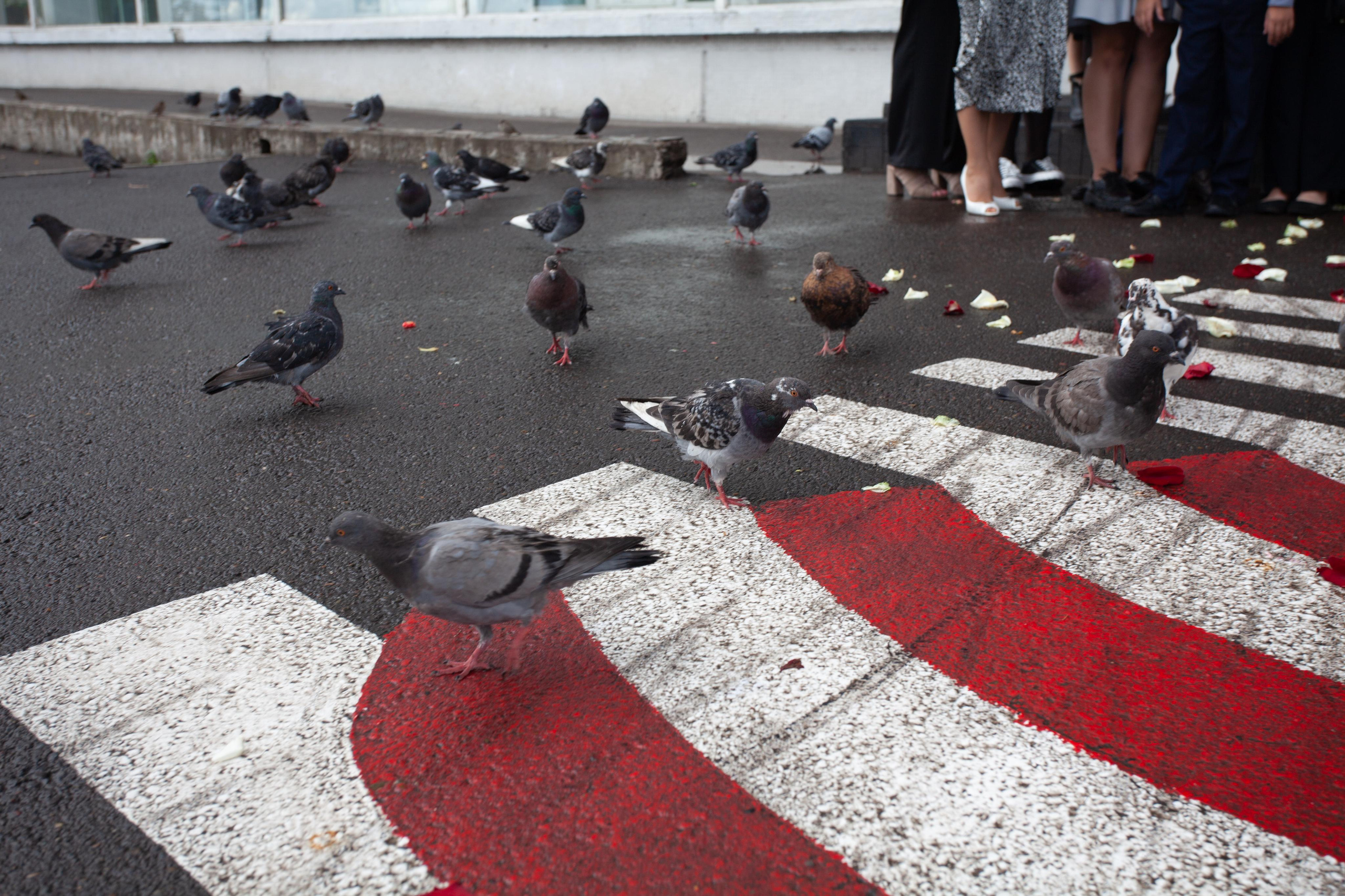 Лиза и Максим. Фотограф Дарья Локотко в Красноярске