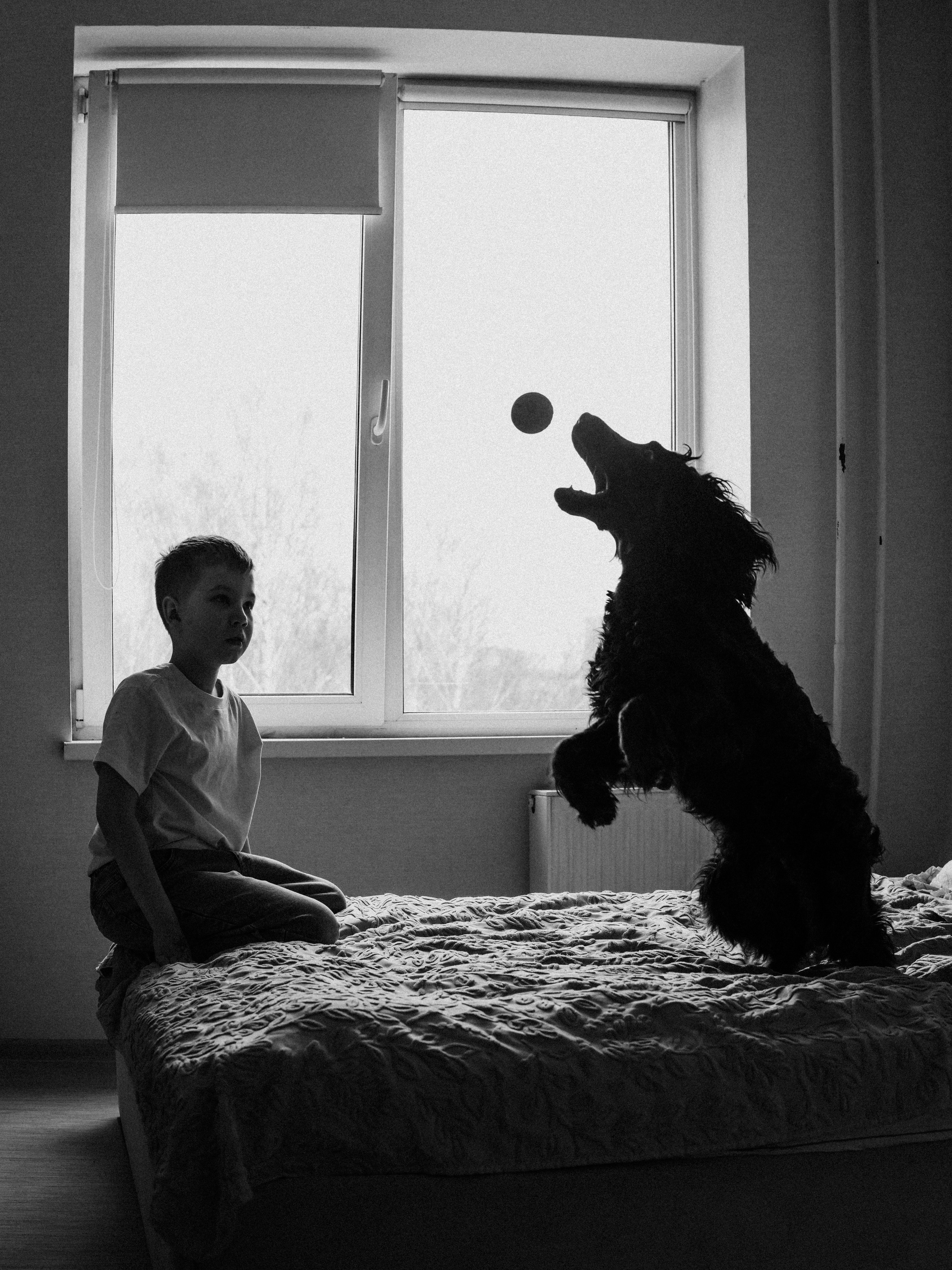 Утро Полины. Ася Краснова
