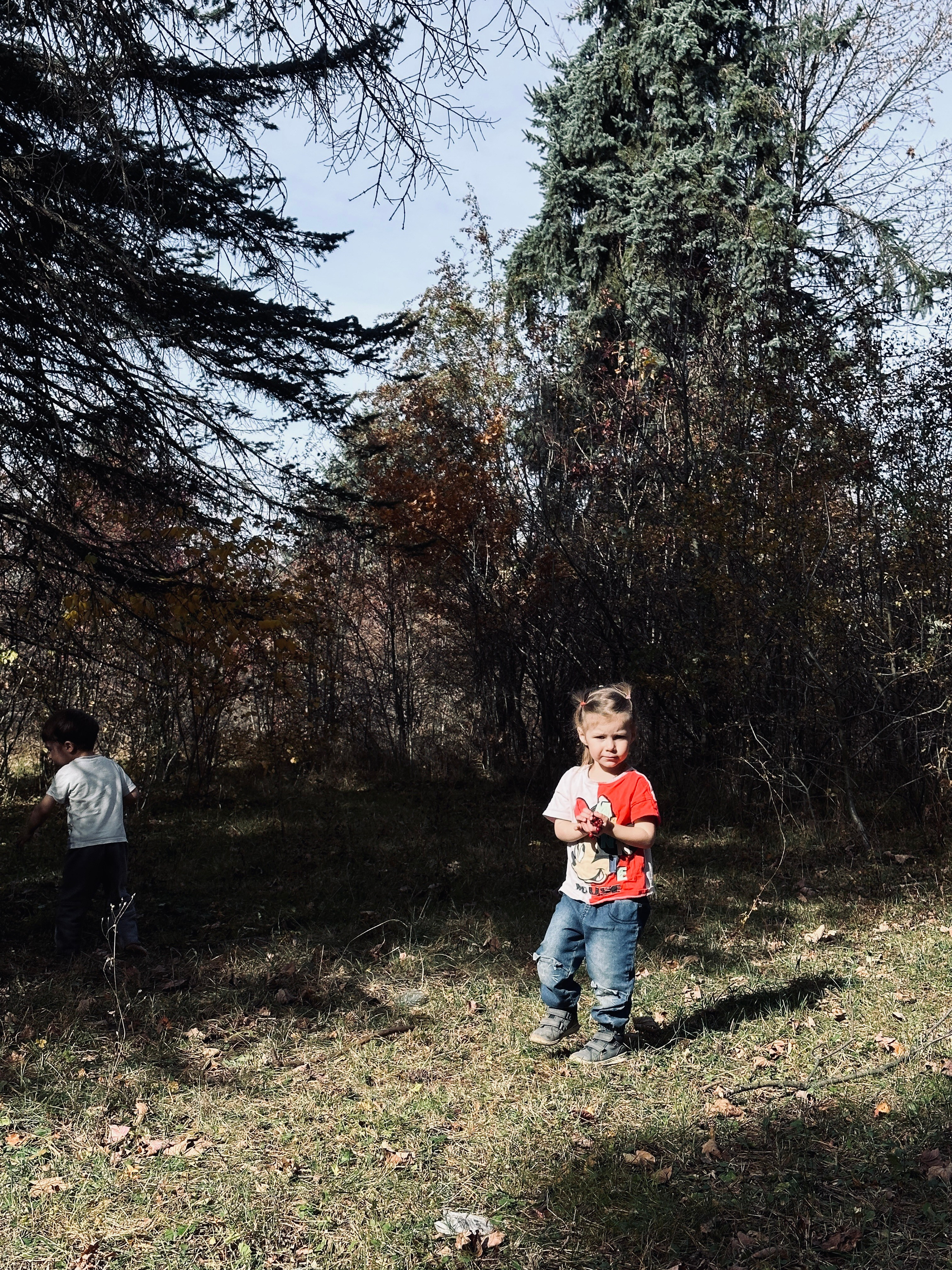 Дети. Смотри, красота!