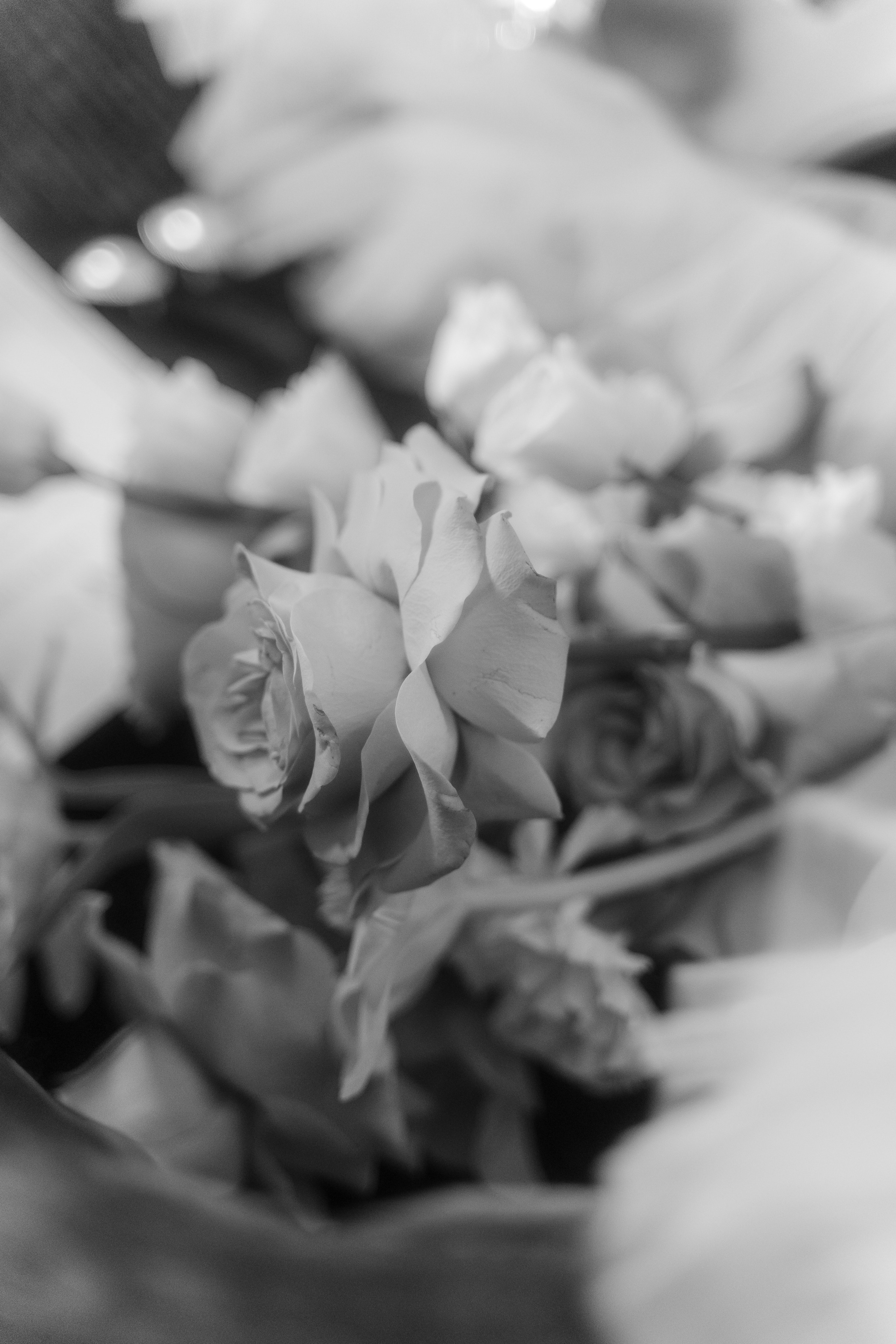 Алексей + Ксения