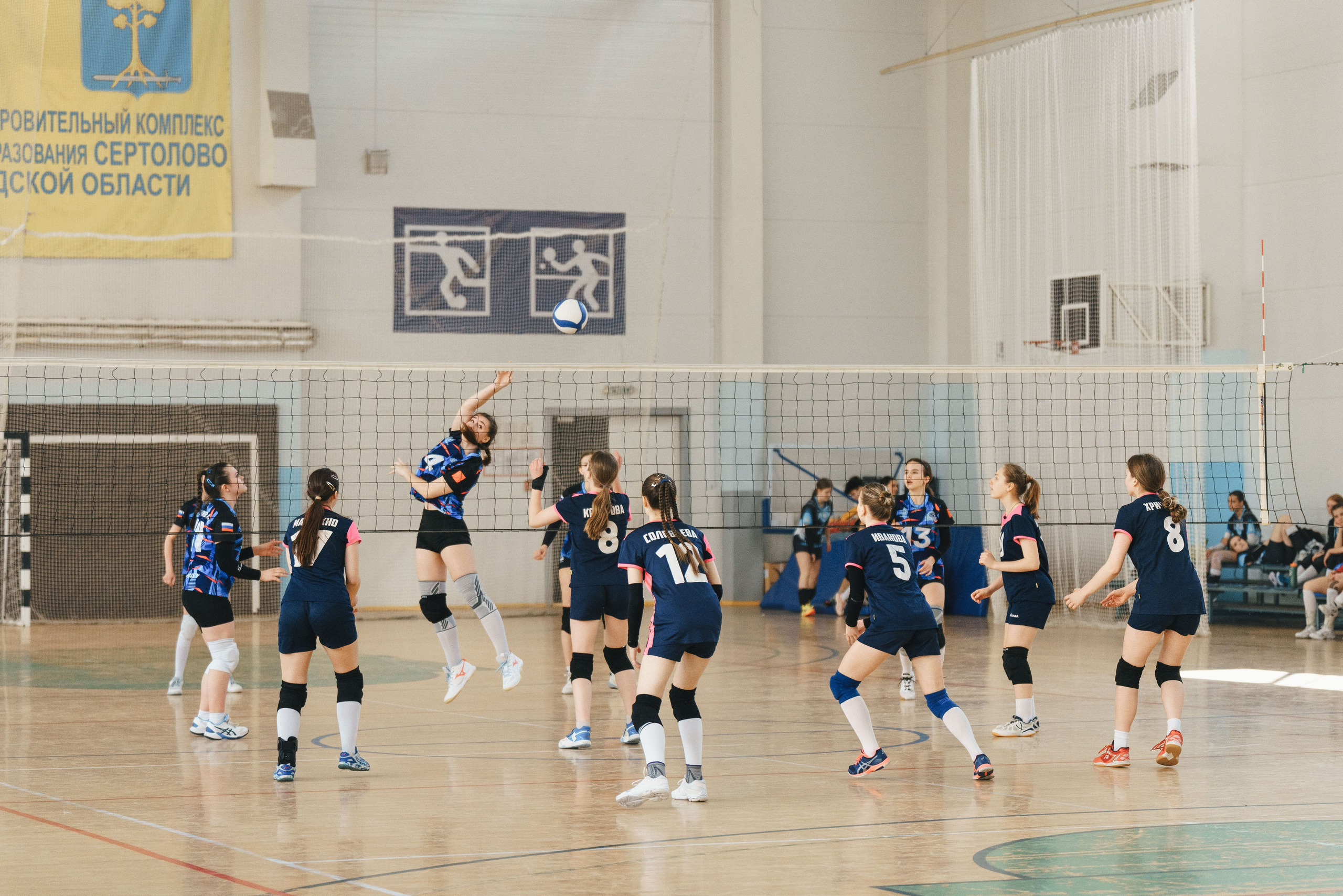 Волейбол торус. Фотограф-анималист в Санкт-Петербурге