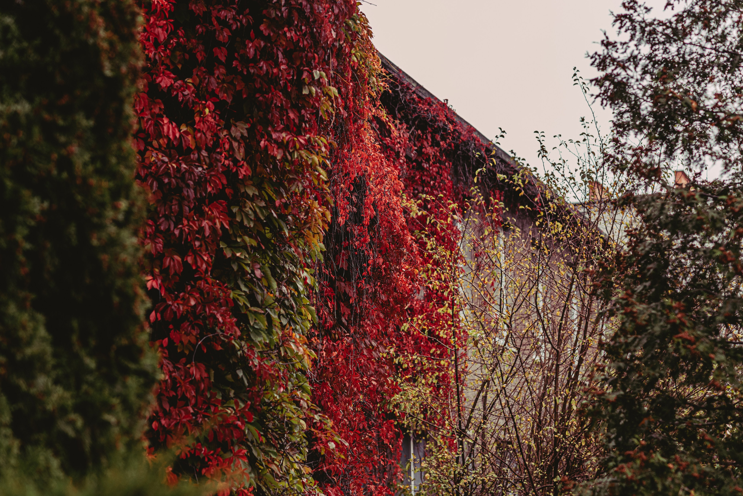 Калининград и его область: через объектив рекламного фотографа из Гуанчжо. Коммерческий и предметный фотограф в Гуанчжоу Коваленко Александр